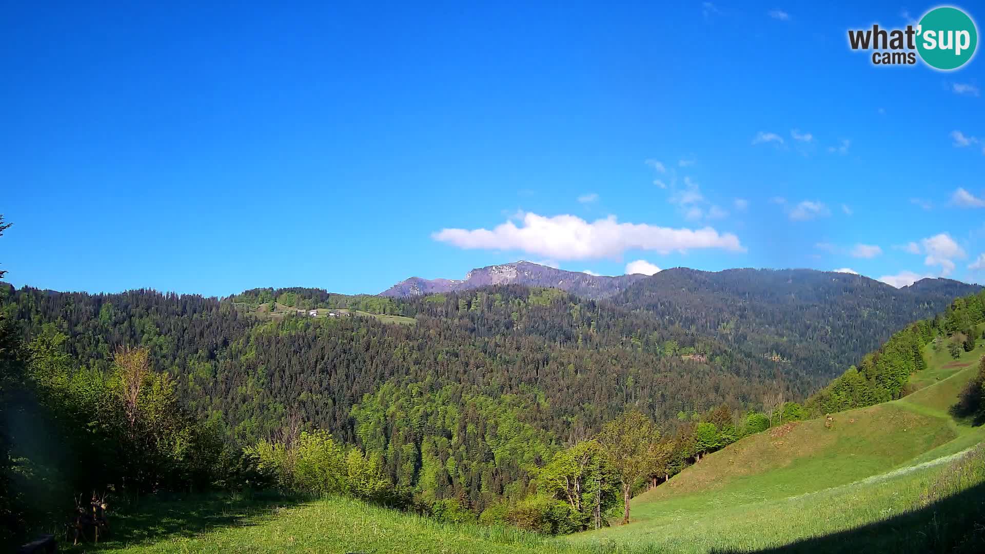 Webcam Brunarica Dražgoše – Live View of Ratitovec (1666 m)