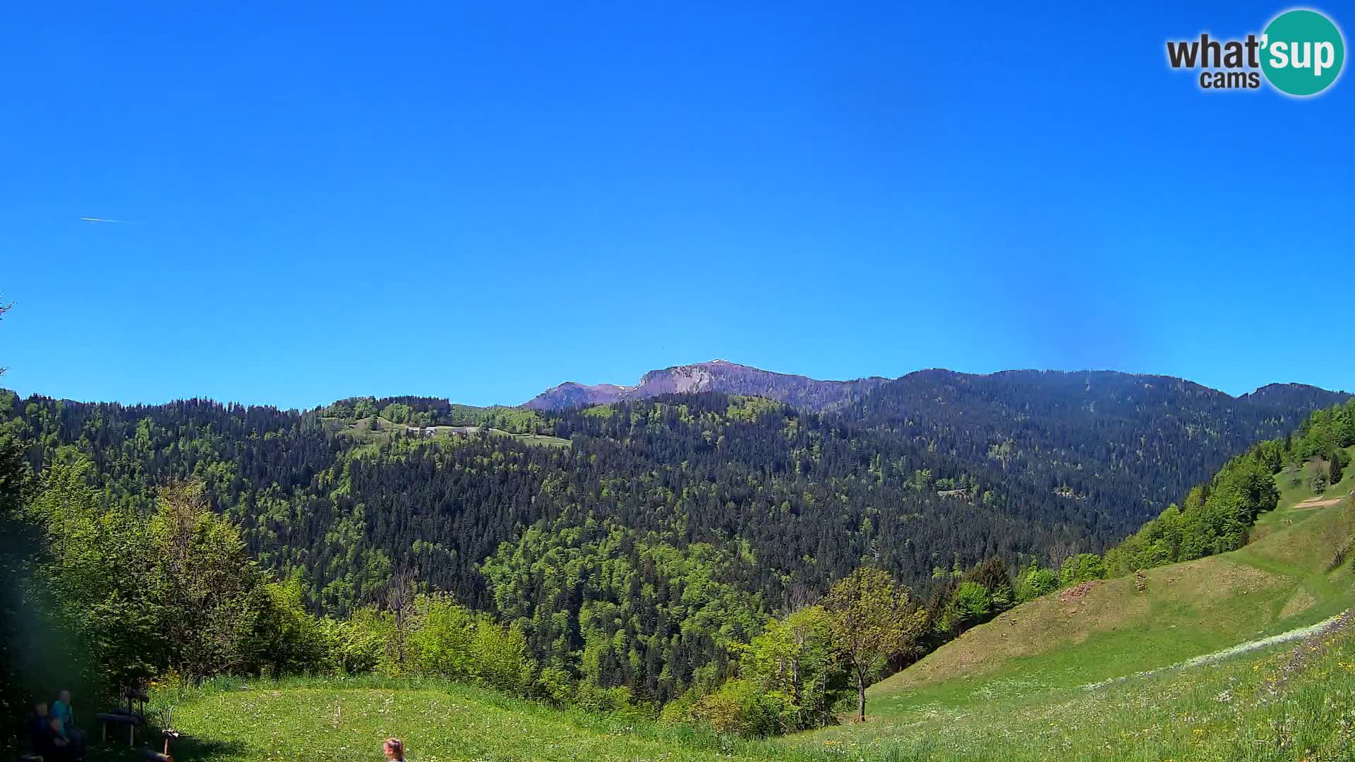 Webcam Brunarica Dražgoše – Live View of Ratitovec (1666 m)