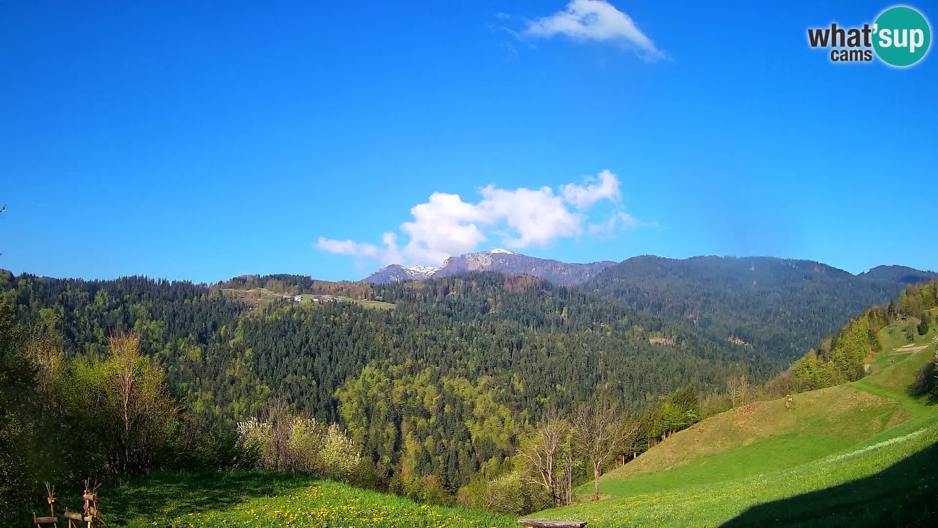Spletna kamera Brunarica Dražgoše – Pogled v živo na Ratitovec (1666 m)