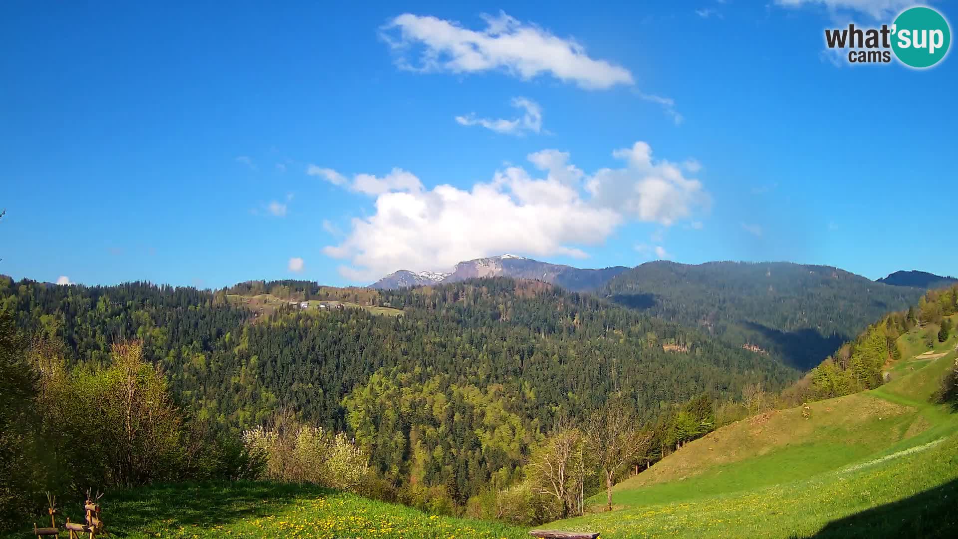 Webcam Brunarica Dražgoše – Vista live sul Ratitovec (1666 m)