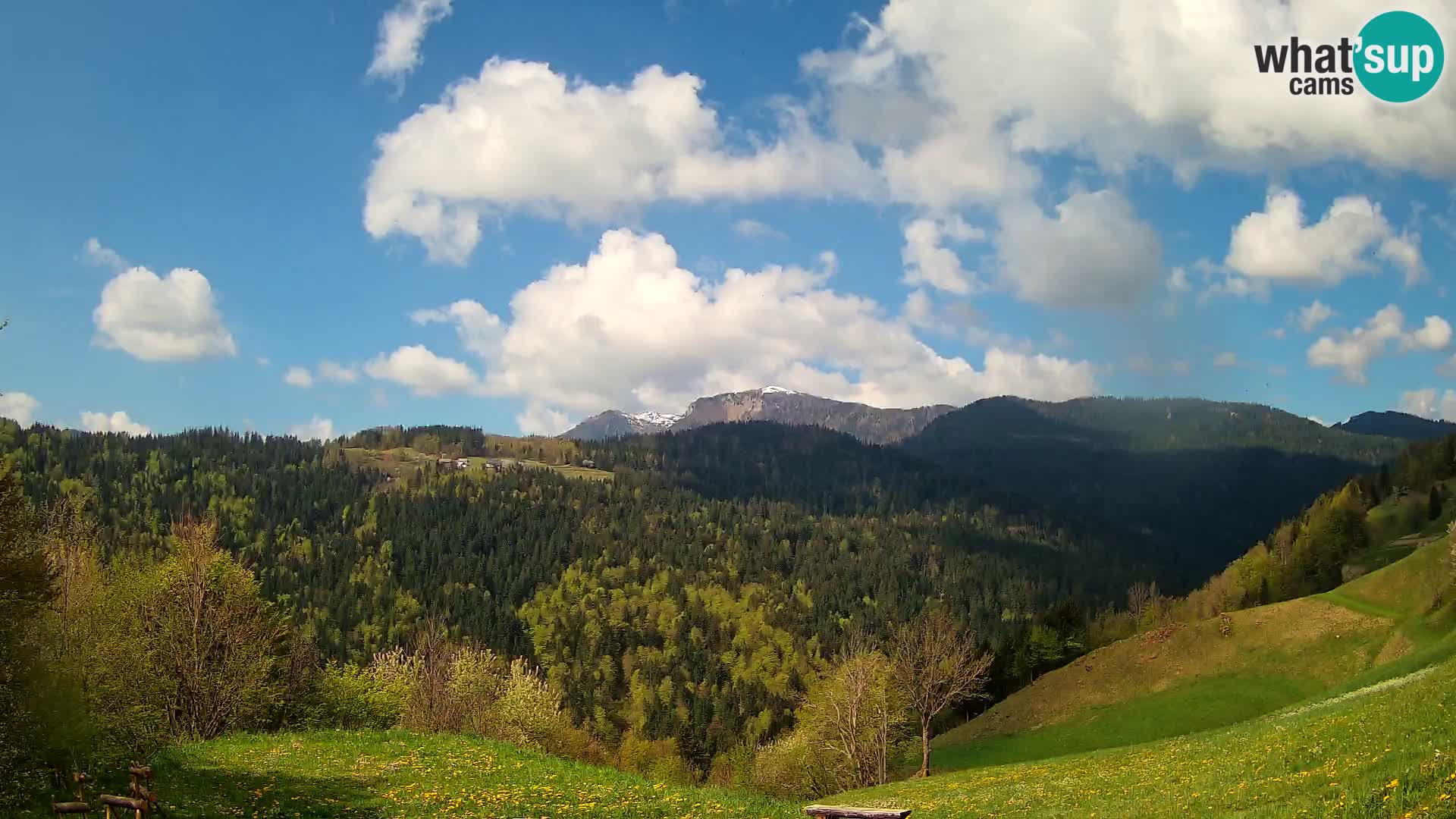 Webcam Brunarica Dražgoše – Live View of Ratitovec (1666 m)