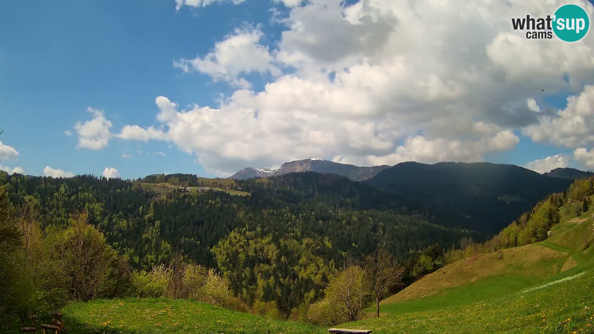 Webcam Brunarica Dražgoše – Liveblick auf Ratitovec (1666 m)