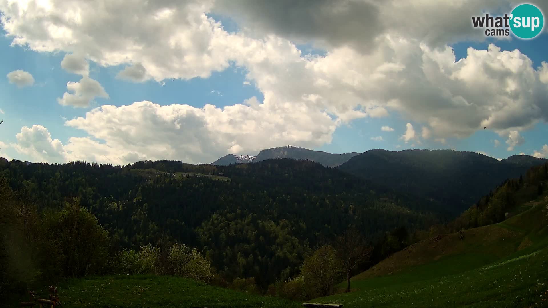 Webcam Brunarica Dražgoše – Vista live sul Ratitovec (1666 m)