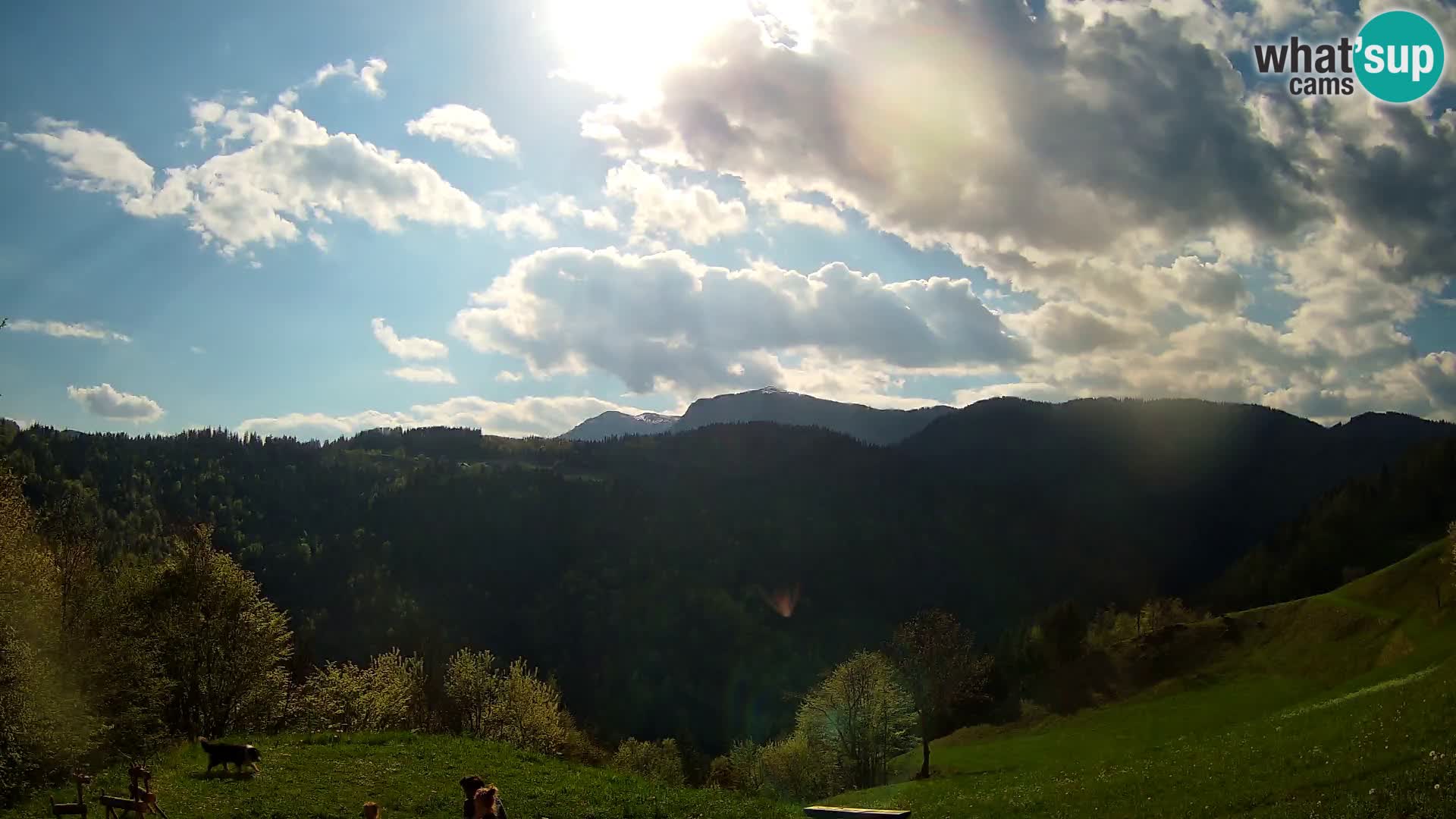 Webcam Brunarica Dražgoše – Live View of Ratitovec (1666 m)