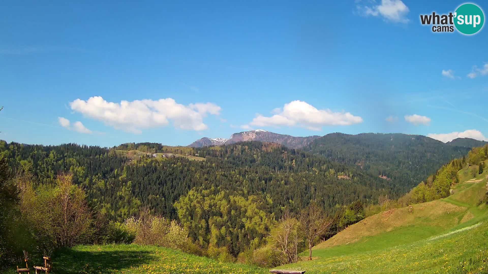 Webcam Brunarica Dražgoše – Vista live sul Ratitovec (1666 m)