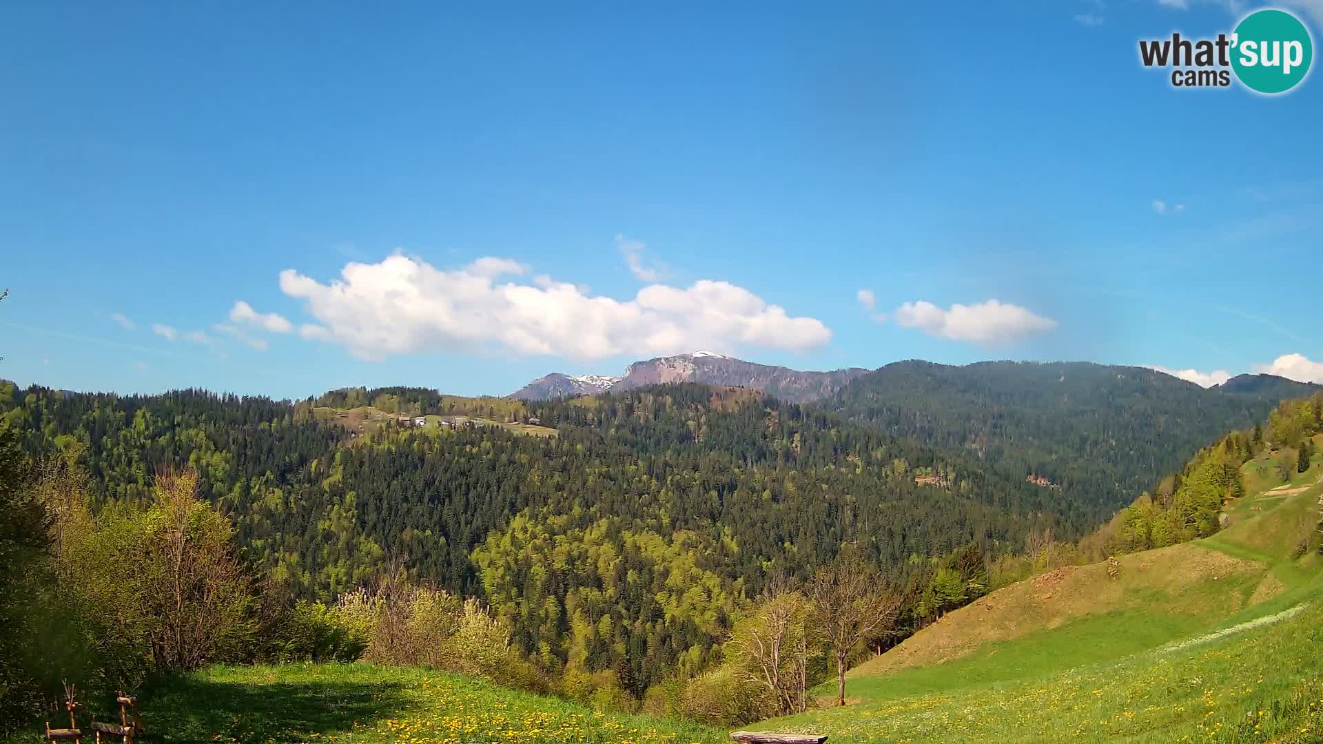 Webcam Brunarica Dražgoše – Live View of Ratitovec (1666 m)