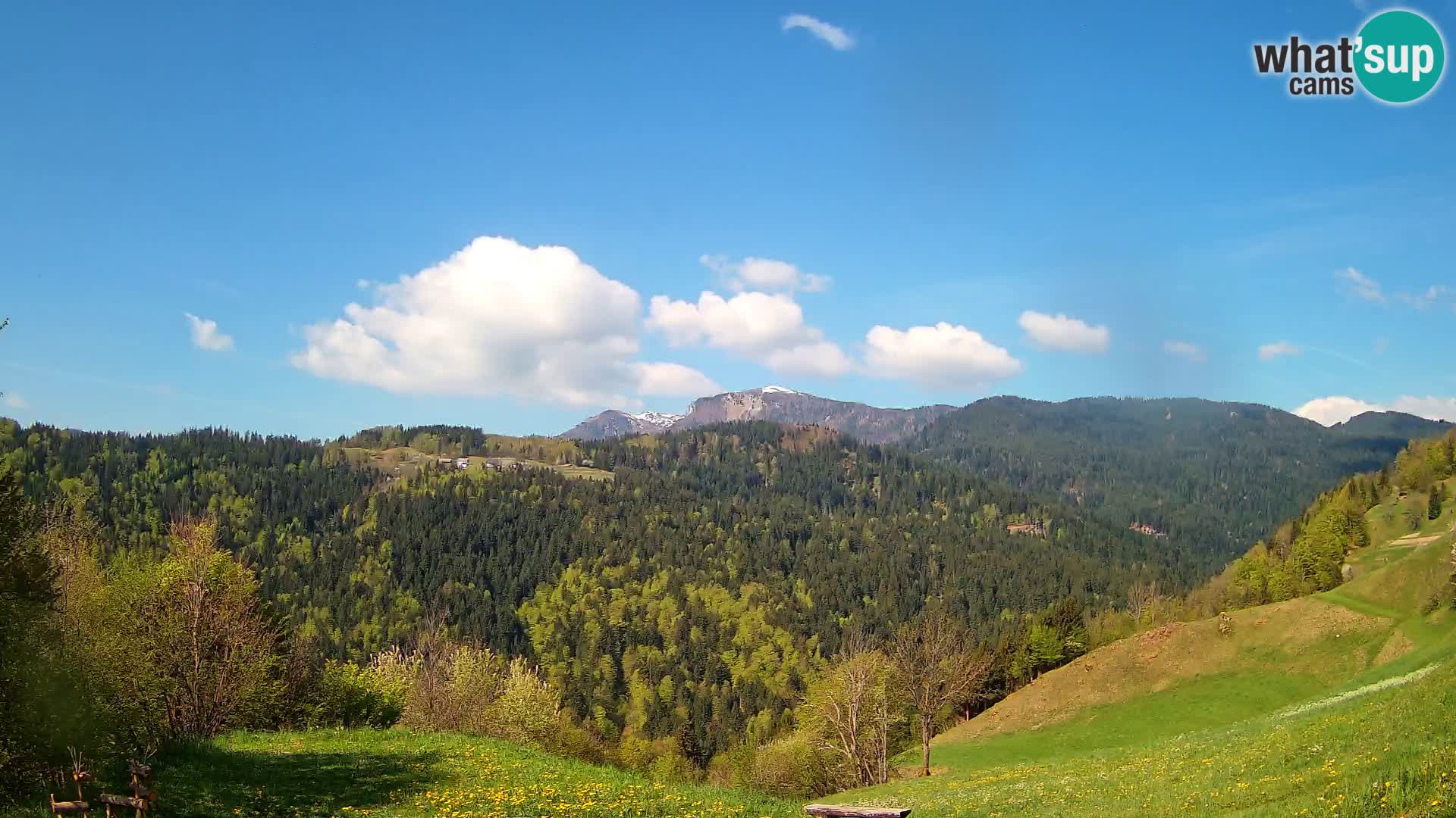 Web kamera Brunarica Dražgoše – Pogled uživo na Ratitovec (1666 m)