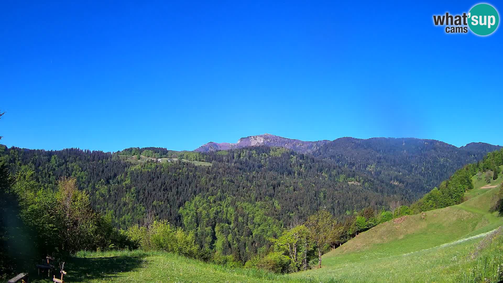 Webcam Brunarica Dražgoše – Liveblick auf Ratitovec (1666 m)