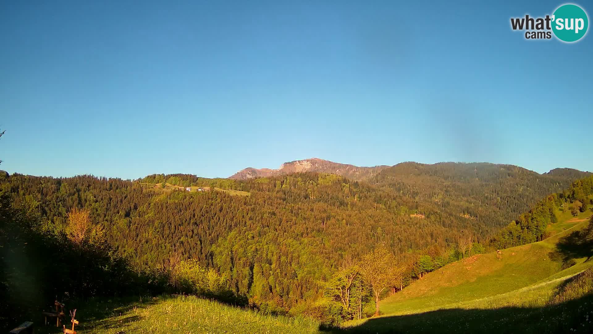 Webcam Brunarica Dražgoše – Live View of Ratitovec (1666 m)