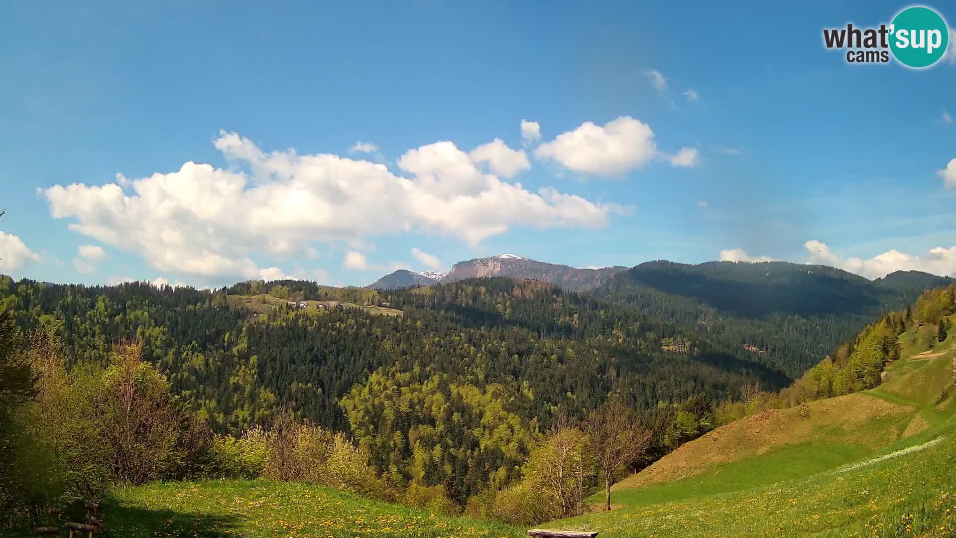 Webcam Brunarica Dražgoše – Vista live sul Ratitovec (1666 m)