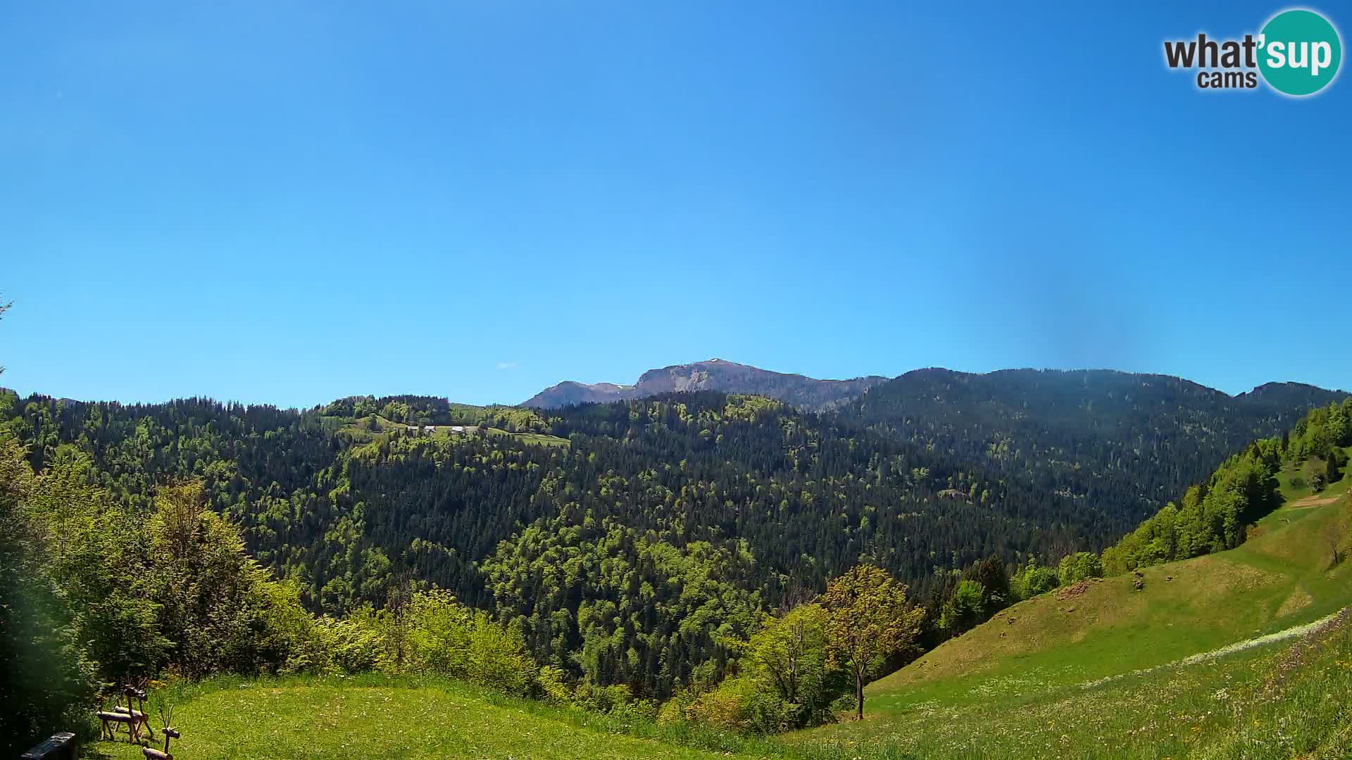 Spletna kamera Brunarica Dražgoše – Pogled v živo na Ratitovec (1666 m)