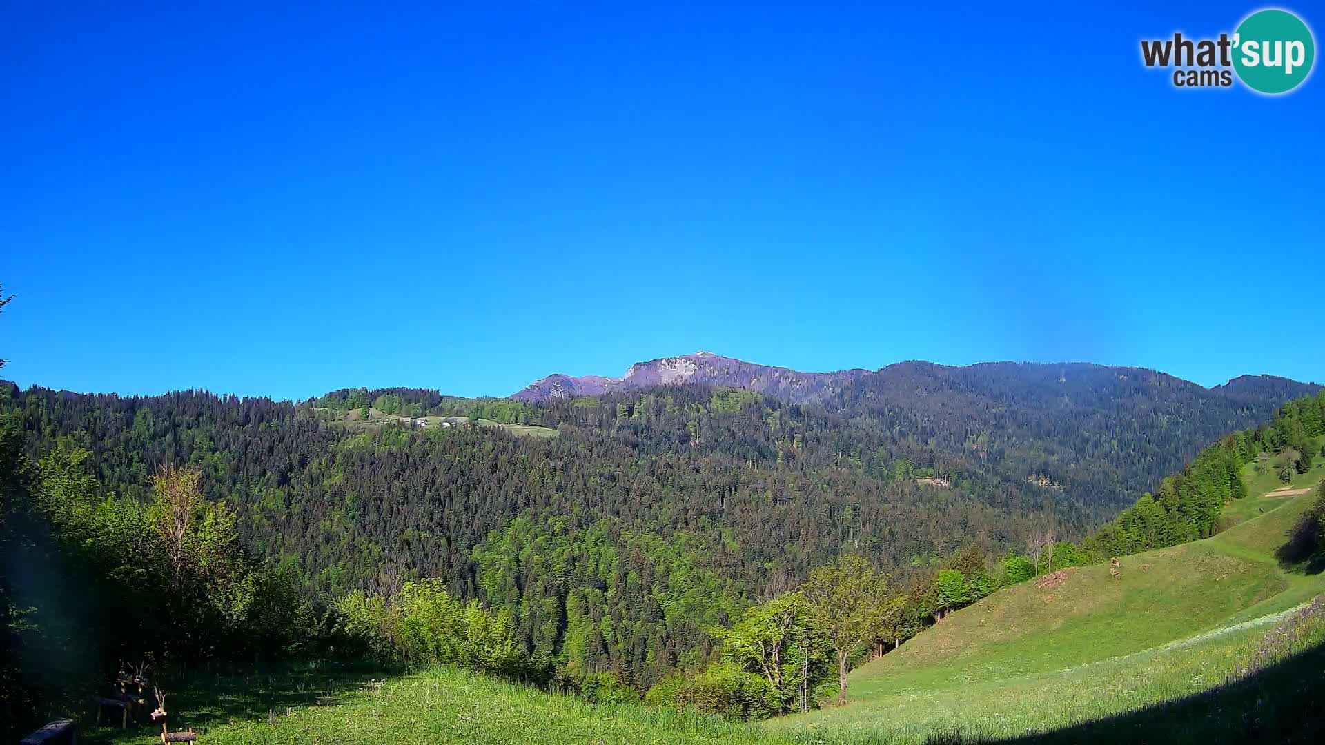 Webcam Brunarica Dražgoše – Live View of Ratitovec (1666 m)