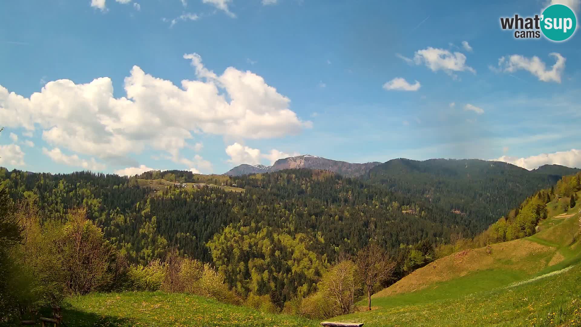 Webcam Brunarica Dražgoše – Live View of Ratitovec (1666 m)