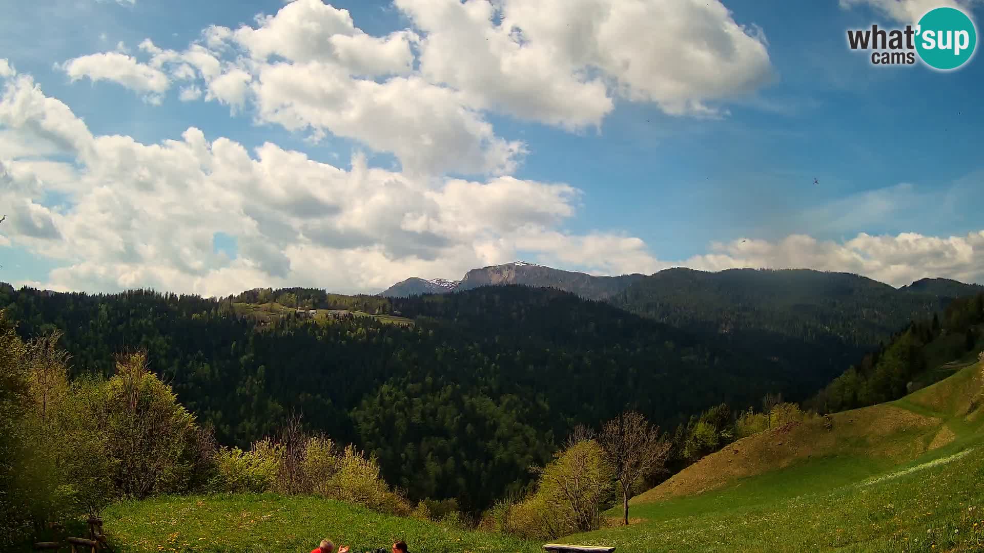 Web kamera Brunarica Dražgoše – Pogled uživo na Ratitovec (1666 m)