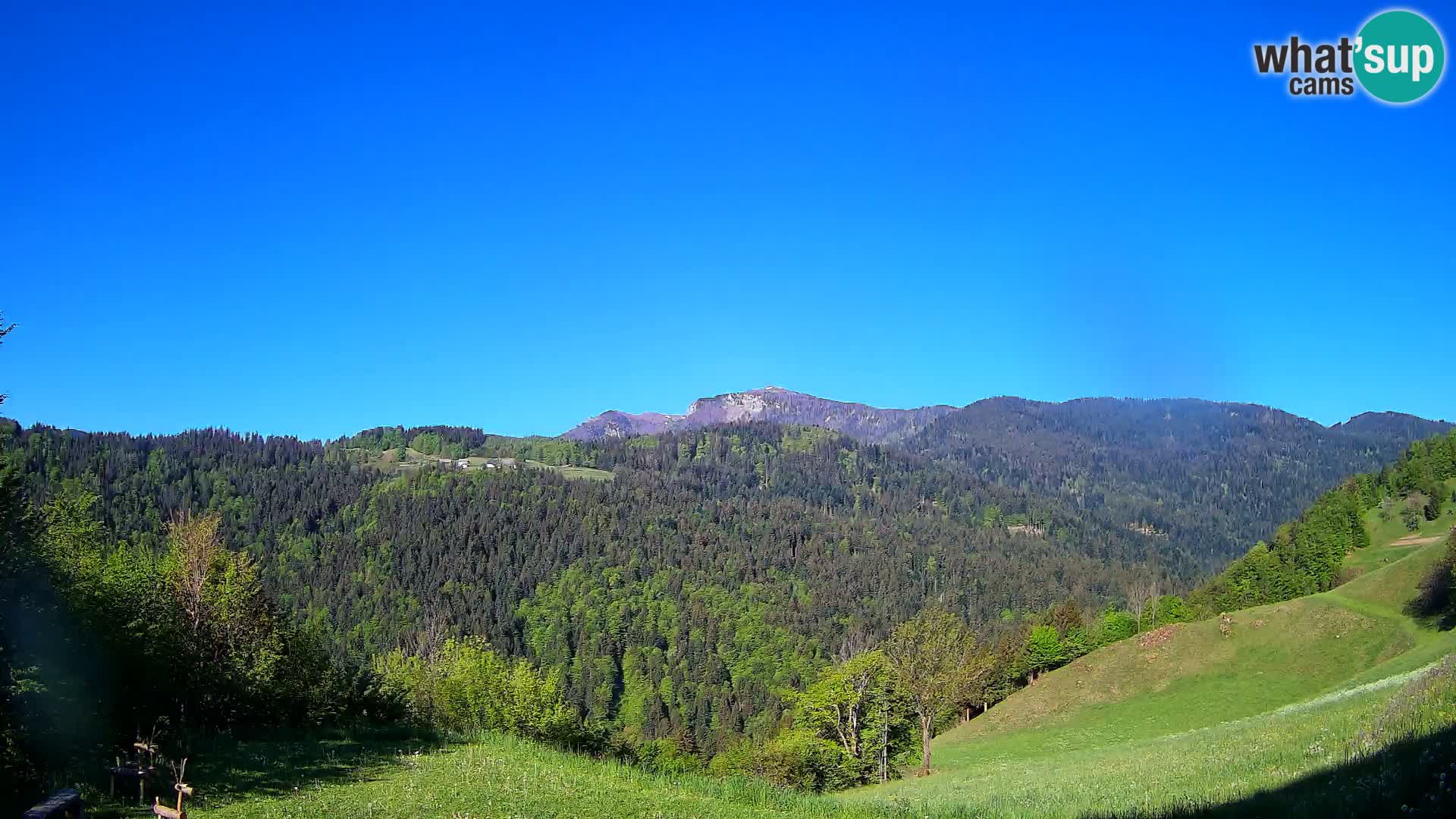 Web kamera Brunarica Dražgoše – Pogled uživo na Ratitovec (1666 m)