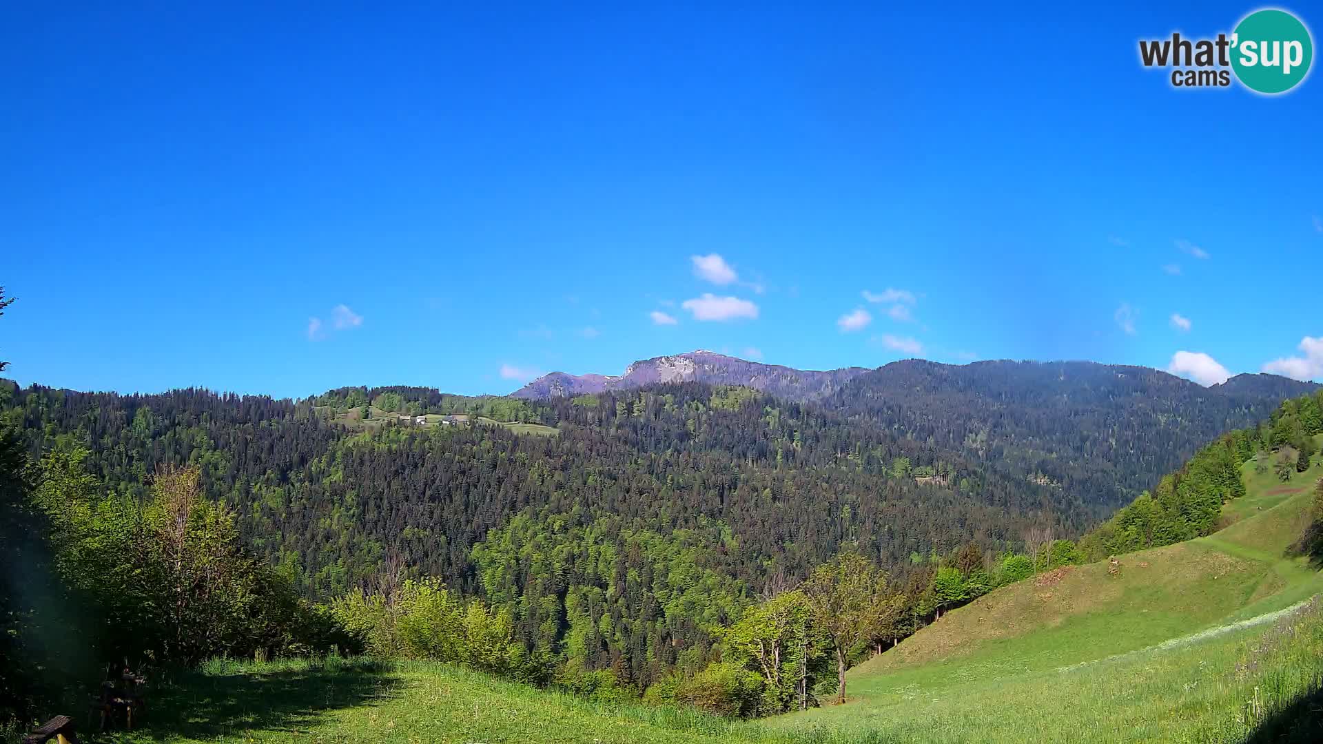 Spletna kamera Brunarica Dražgoše – Pogled v živo na Ratitovec (1666 m)
