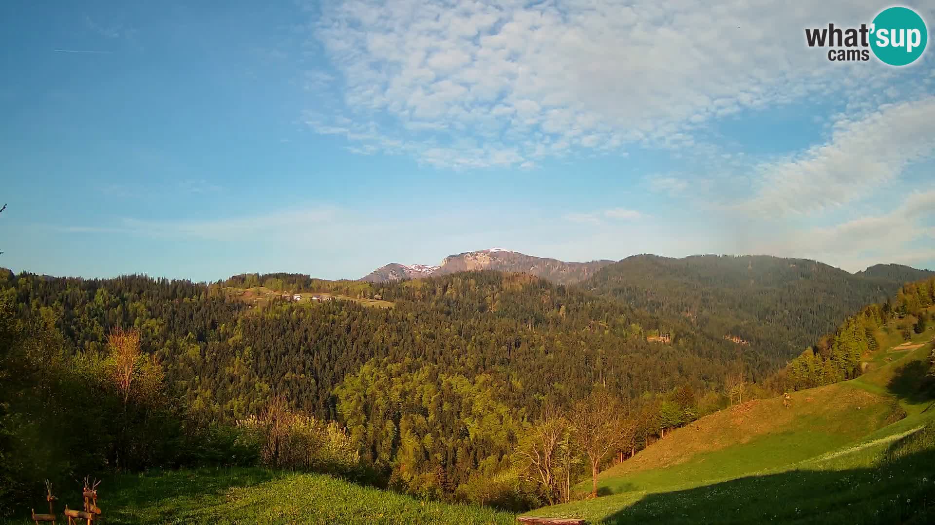 Webcam Brunarica Dražgoše – Live View of Ratitovec (1666 m)