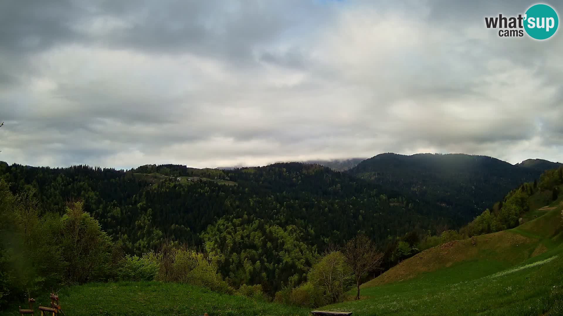 Webcam Brunarica Dražgoše – Live View of Ratitovec (1666 m)