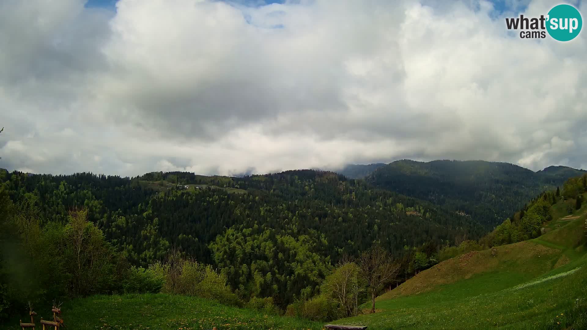 Webcam Brunarica Dražgoše – Live View of Ratitovec (1666 m)