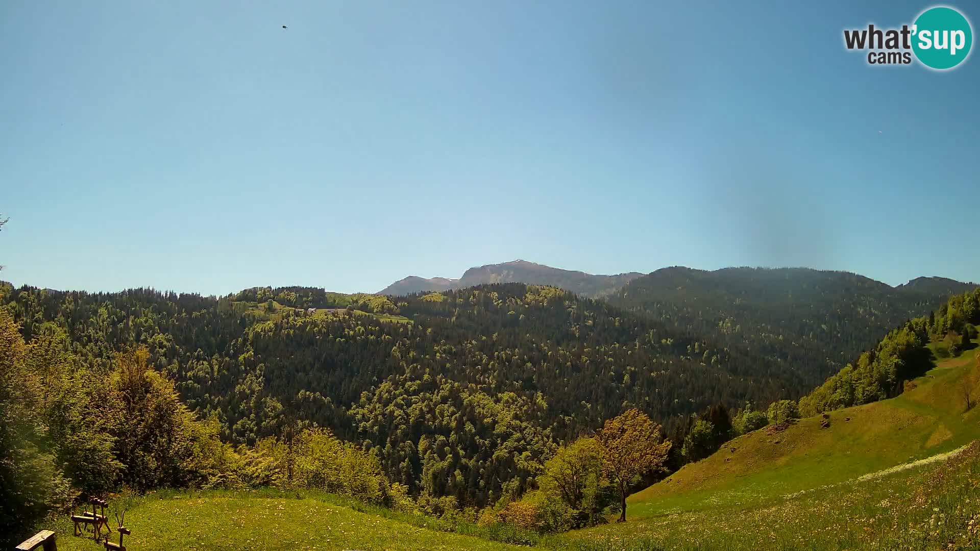 Webcam Brunarica Dražgoše – Vista live sul Ratitovec (1666 m)