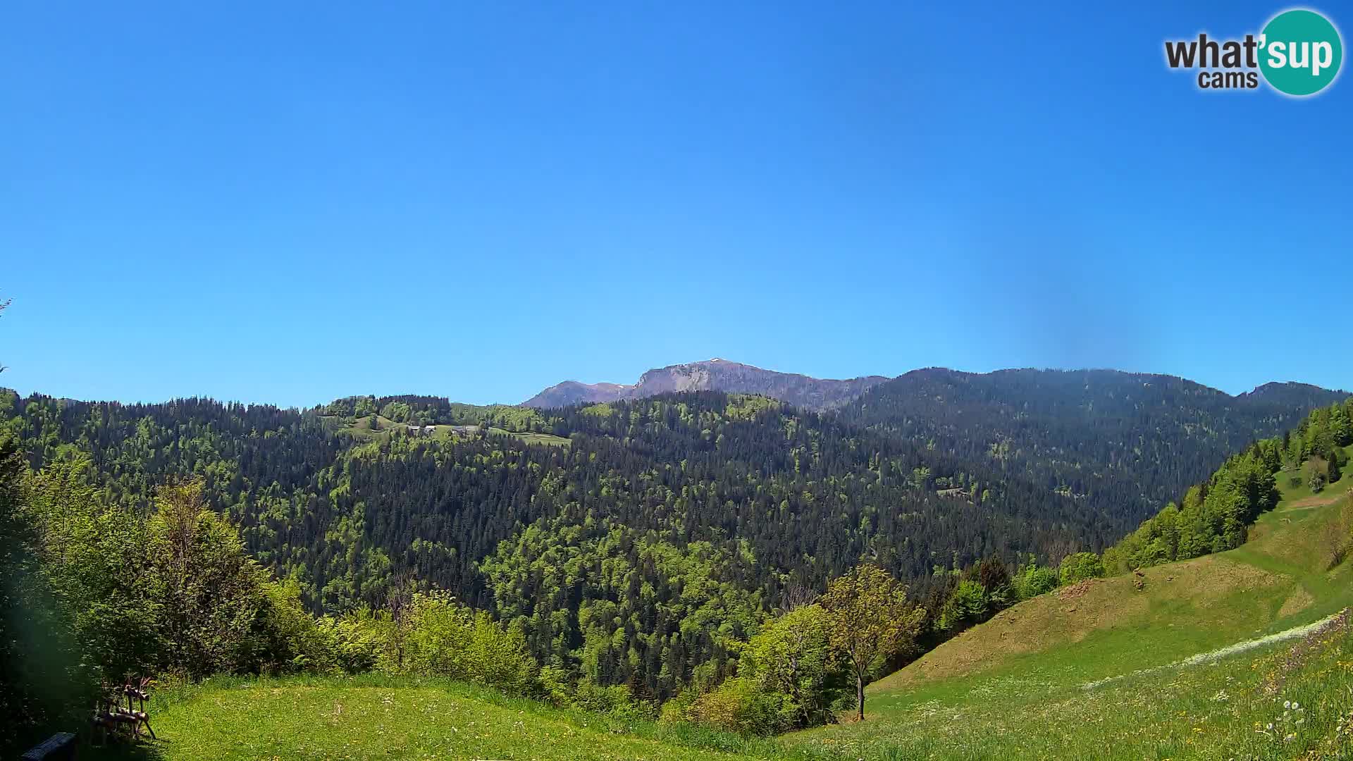 Webcam Brunarica Dražgoše – Live View of Ratitovec (1666 m)