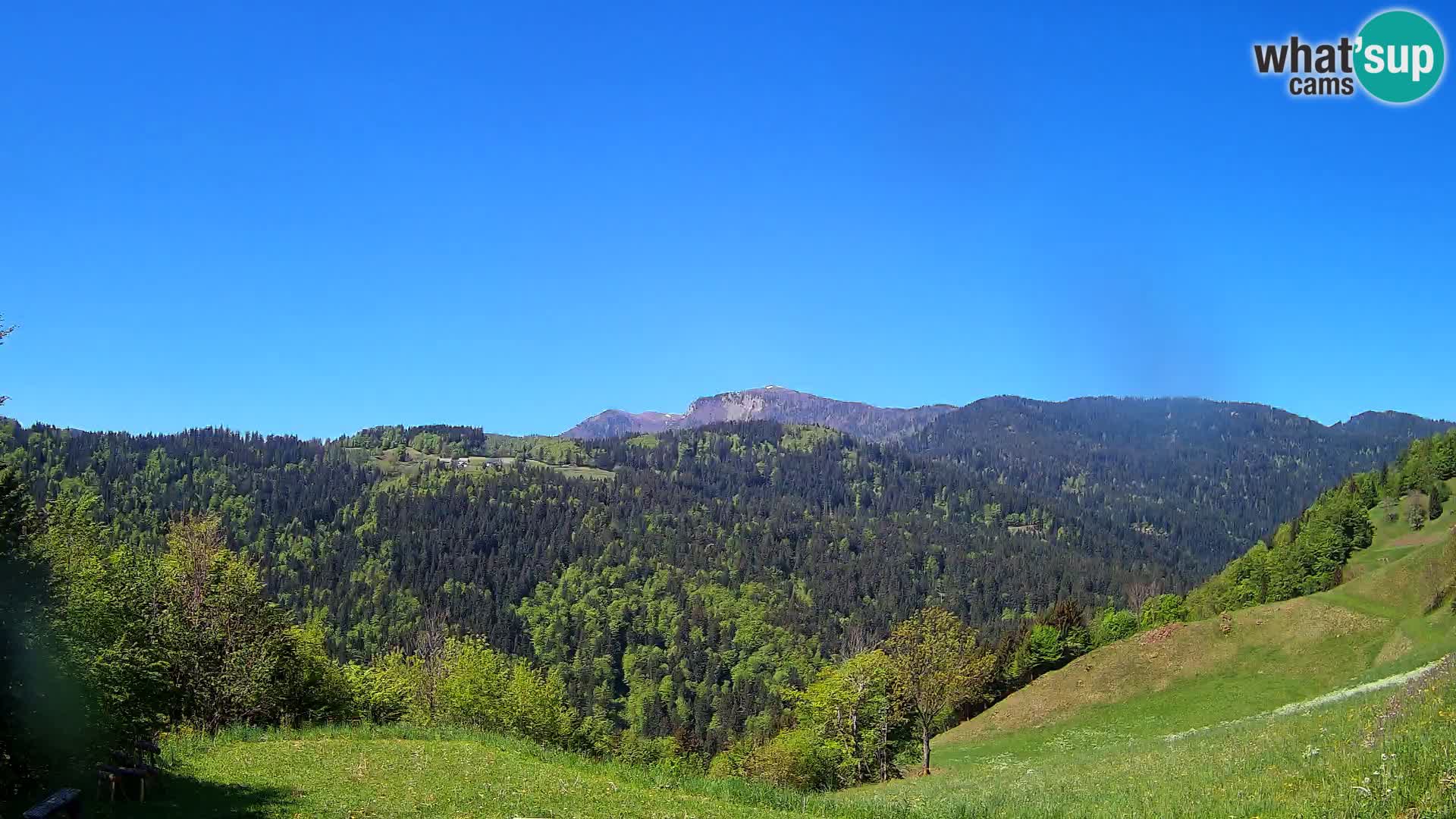 Webcam Brunarica Dražgoše – Liveblick auf Ratitovec (1666 m)