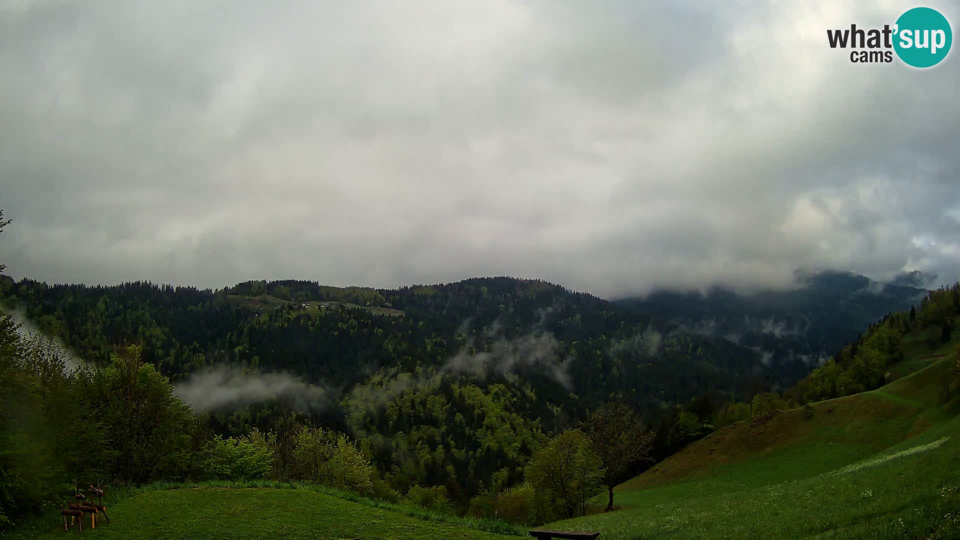 Webcam Brunarica Dražgoše – Live View of Ratitovec (1666 m)