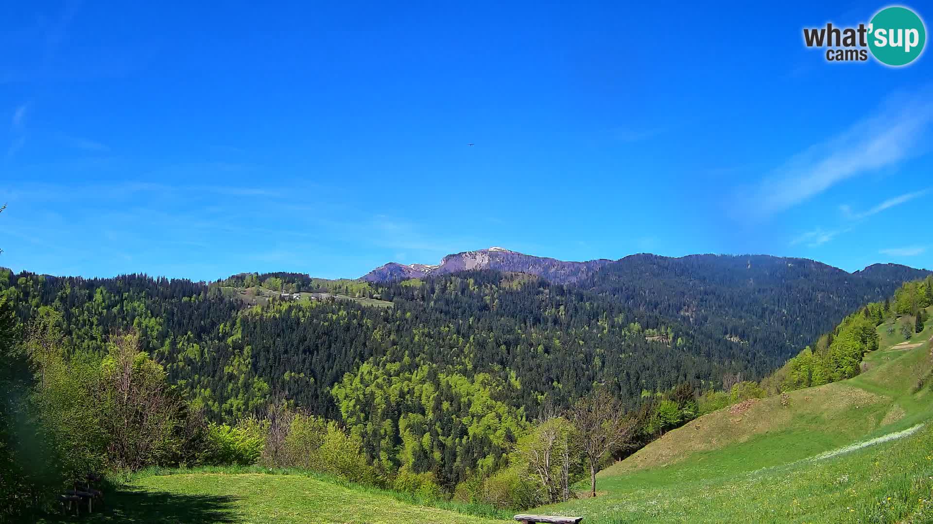 Webcam Brunarica Dražgoše – Liveblick auf Ratitovec (1666 m)