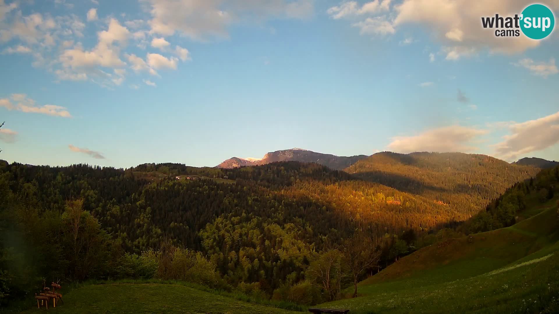 Webcam Brunarica Dražgoše – Live View of Ratitovec (1666 m)