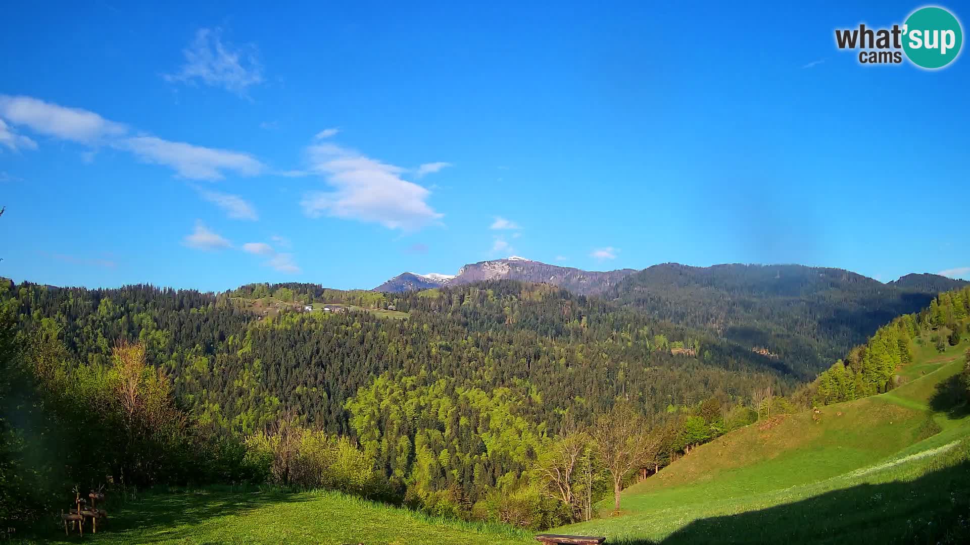 Webcam Brunarica Dražgoše – Vista live sul Ratitovec (1666 m)