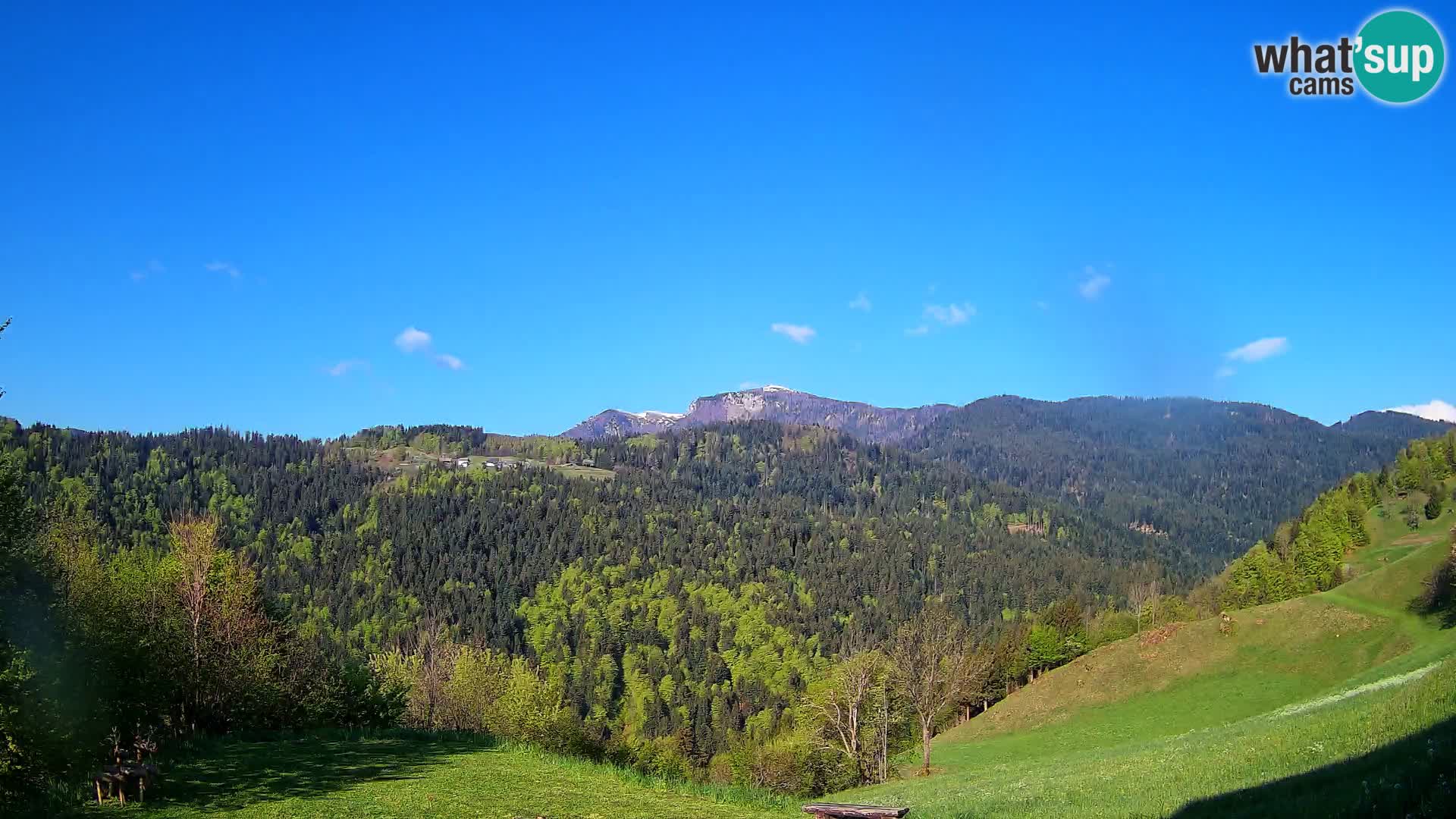 Web kamera Brunarica Dražgoše – Pogled uživo na Ratitovec (1666 m)