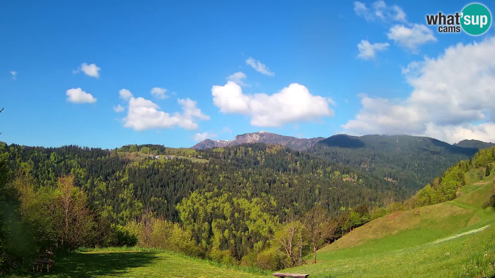 Webcam Brunarica Dražgoše – Vista live sul Ratitovec (1666 m)