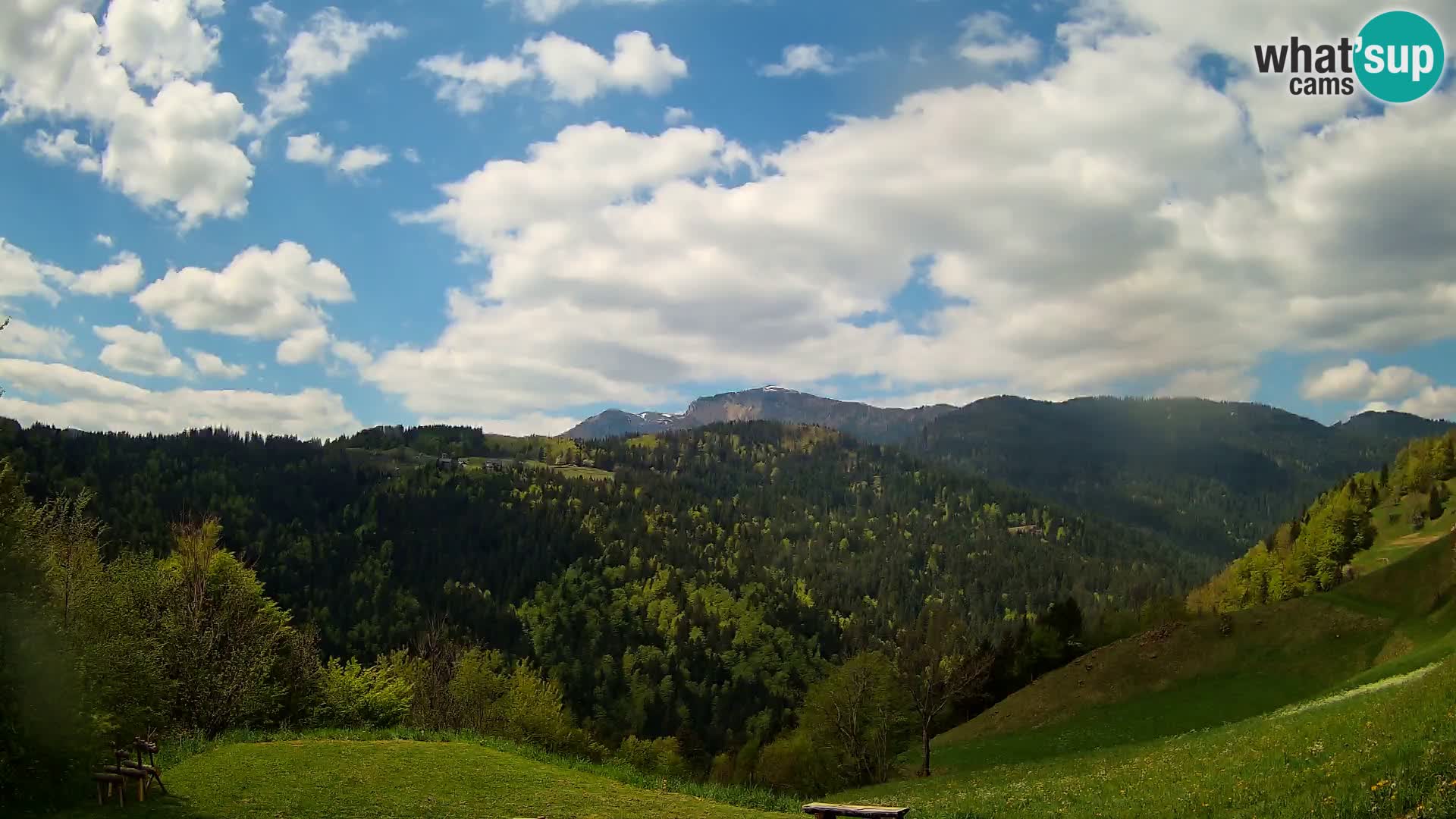 Webcam Brunarica Dražgoše – Live View of Ratitovec (1666 m)