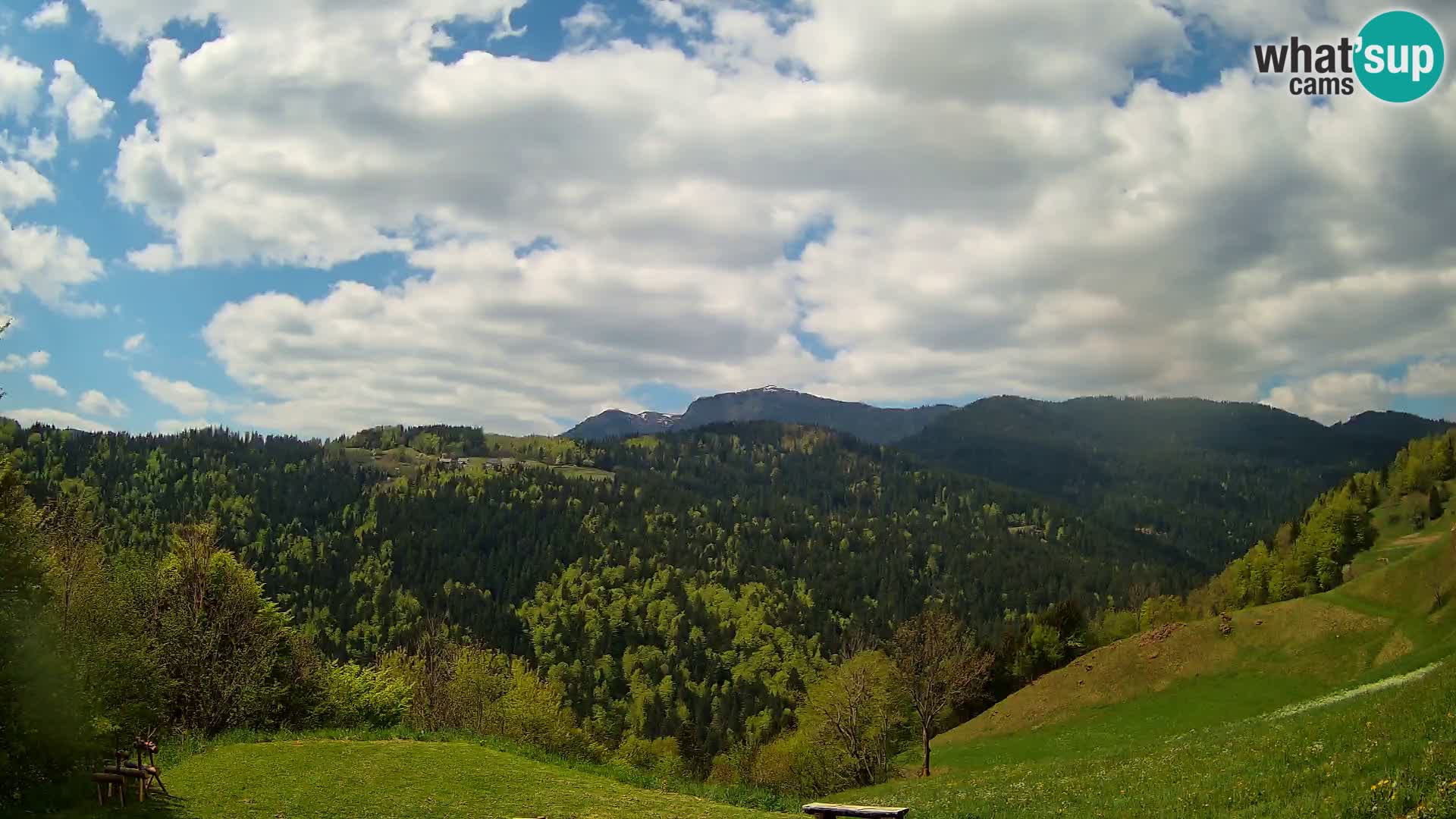 Webcam Brunarica Dražgoše – Live View of Ratitovec (1666 m)