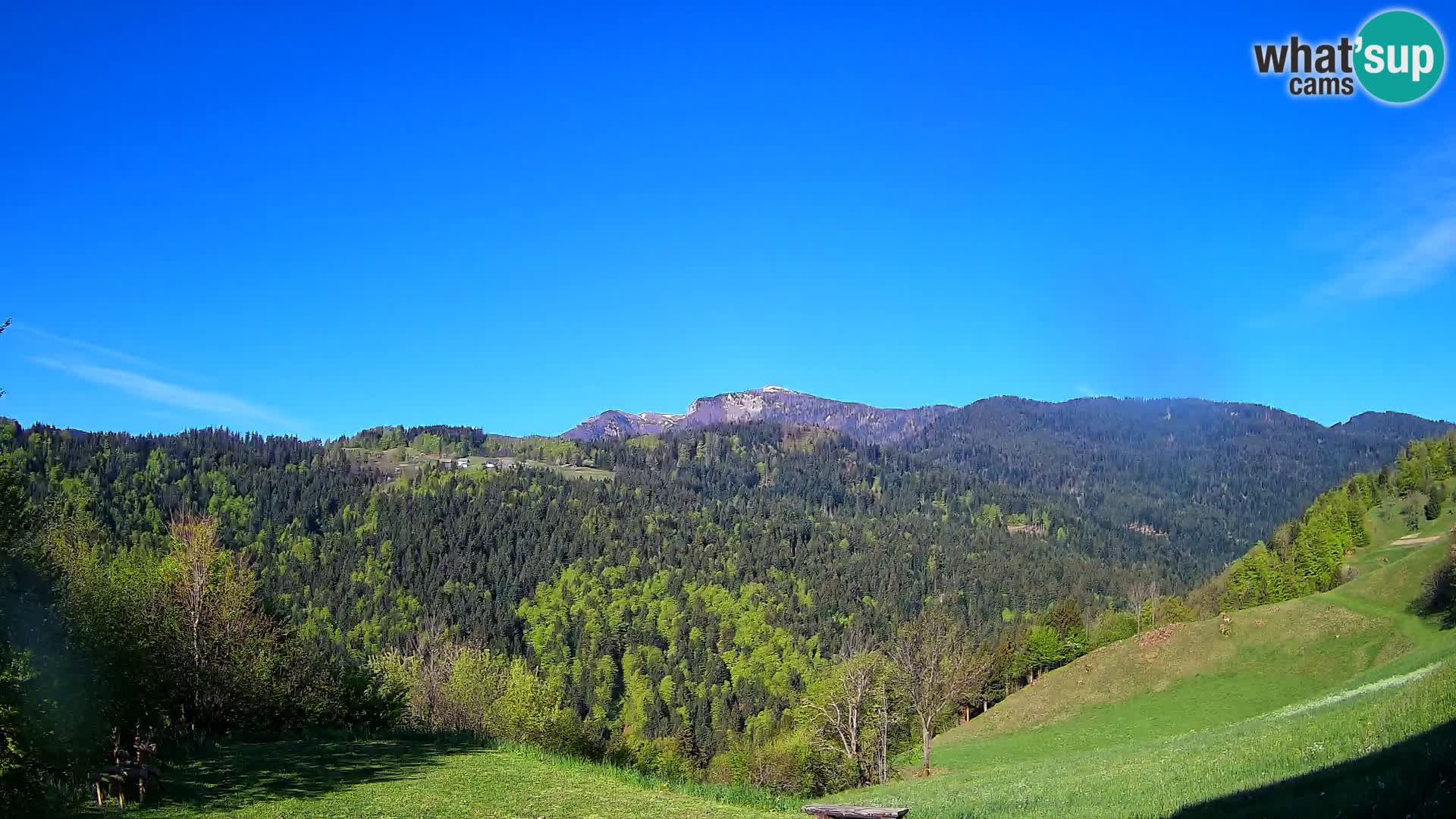 Spletna kamera Brunarica Dražgoše – Pogled v živo na Ratitovec (1666 m)