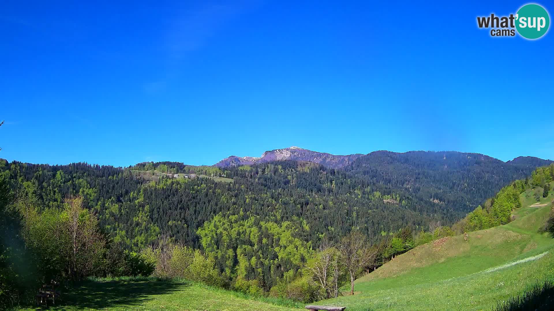 Webcam Brunarica Dražgoše – Live View of Ratitovec (1666 m)