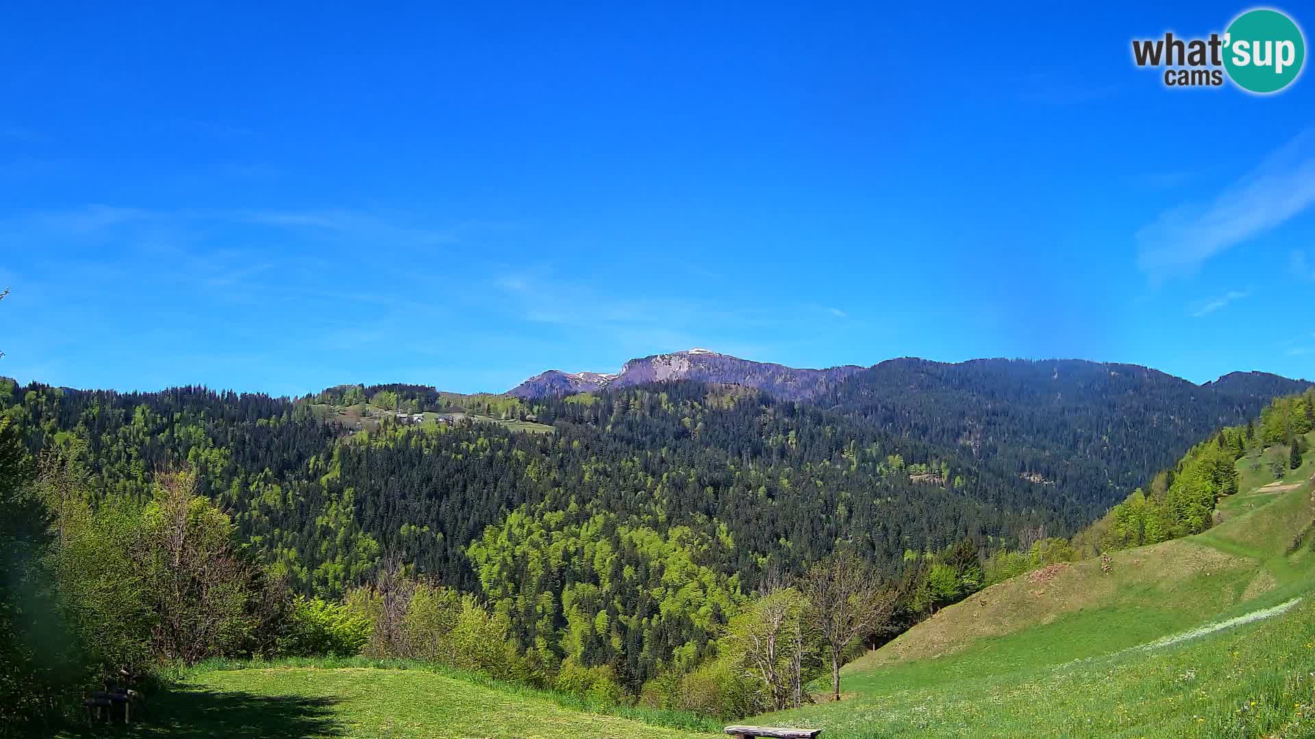 Web kamera Brunarica Dražgoše – Pogled uživo na Ratitovec (1666 m)