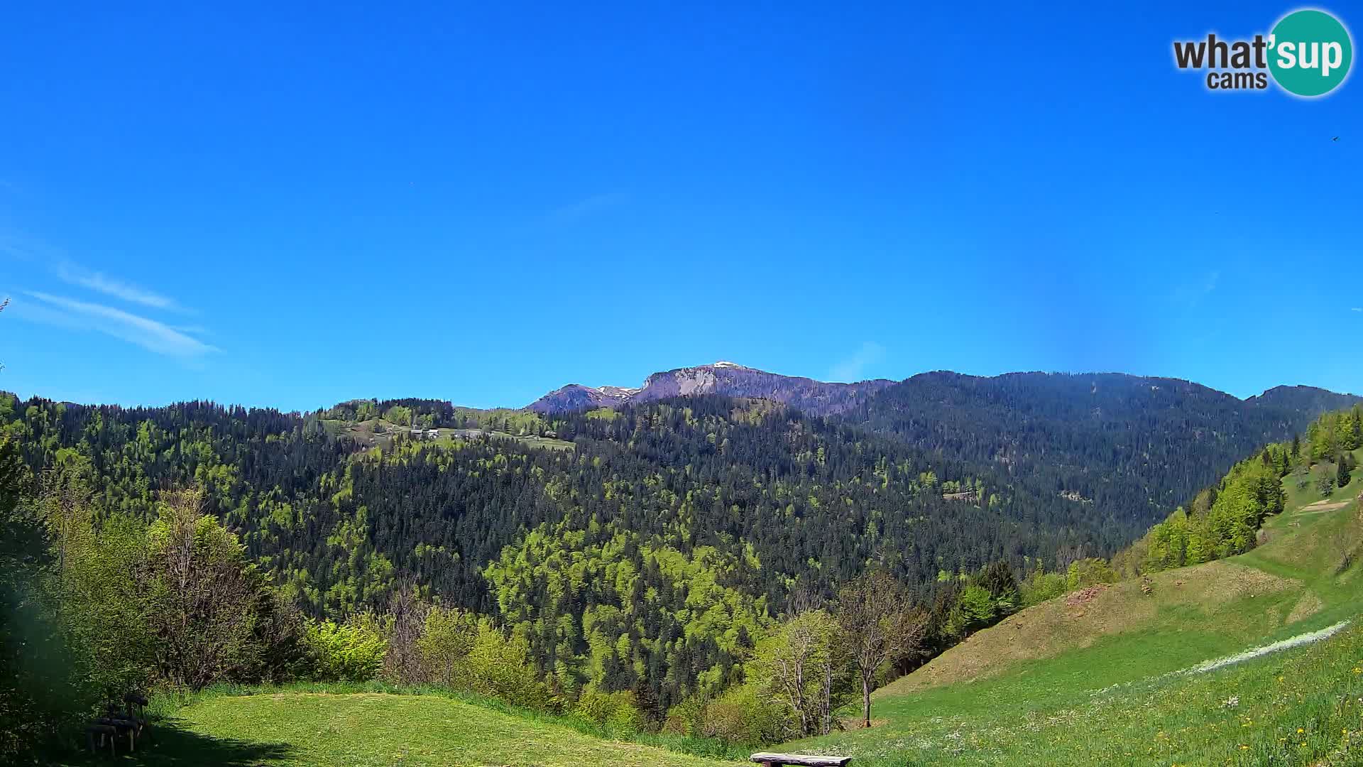 Webcam Brunarica Dražgoše – Live View of Ratitovec (1666 m)