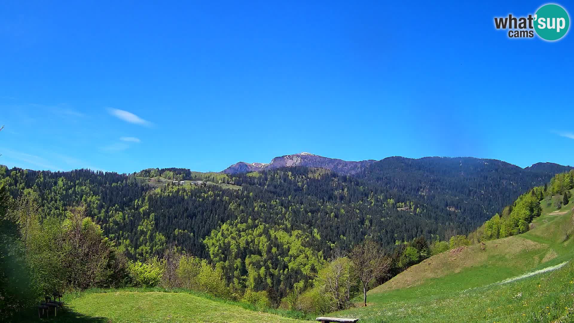 Webcam Brunarica Dražgoše – Live View of Ratitovec (1666 m)