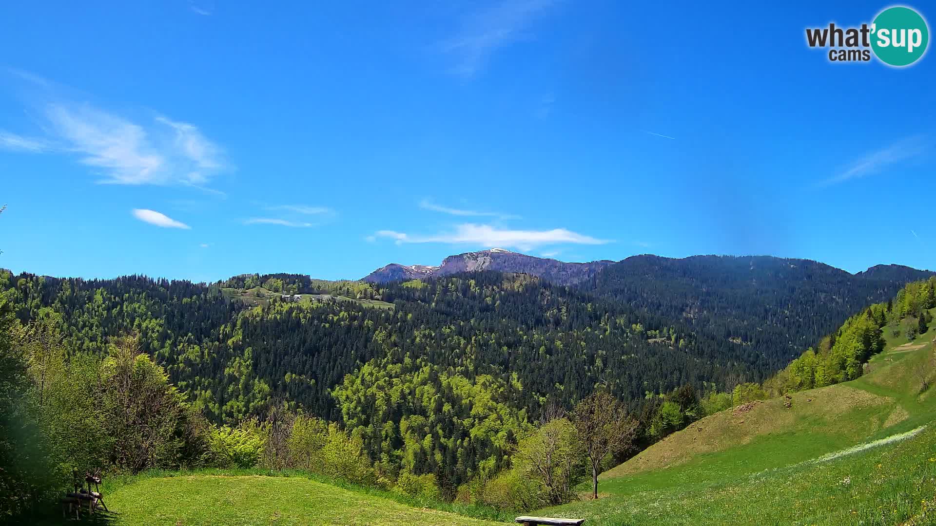 Webcam Brunarica Dražgoše – Live View of Ratitovec (1666 m)