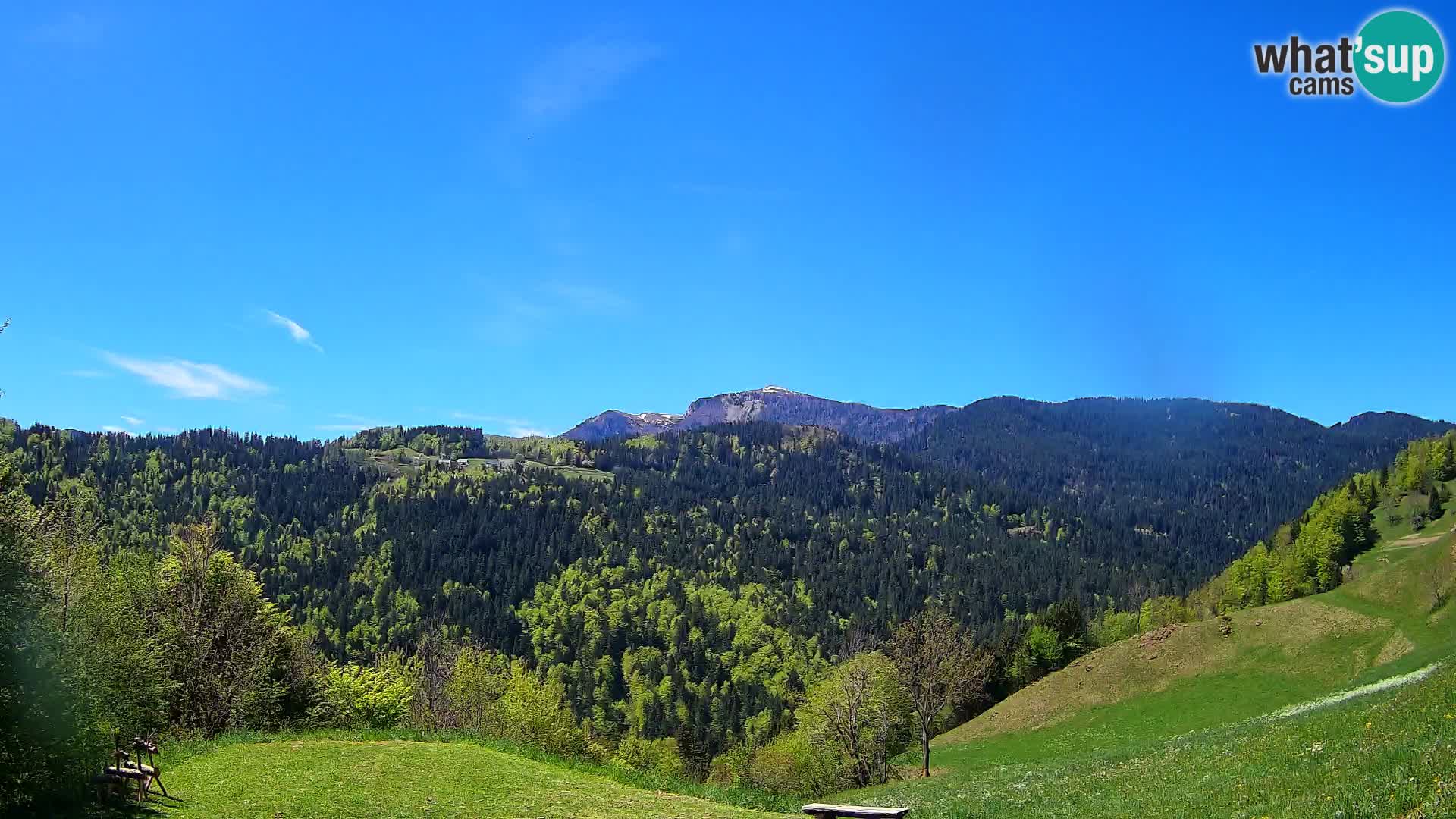 Webcam Brunarica Dražgoše – Live View of Ratitovec (1666 m)