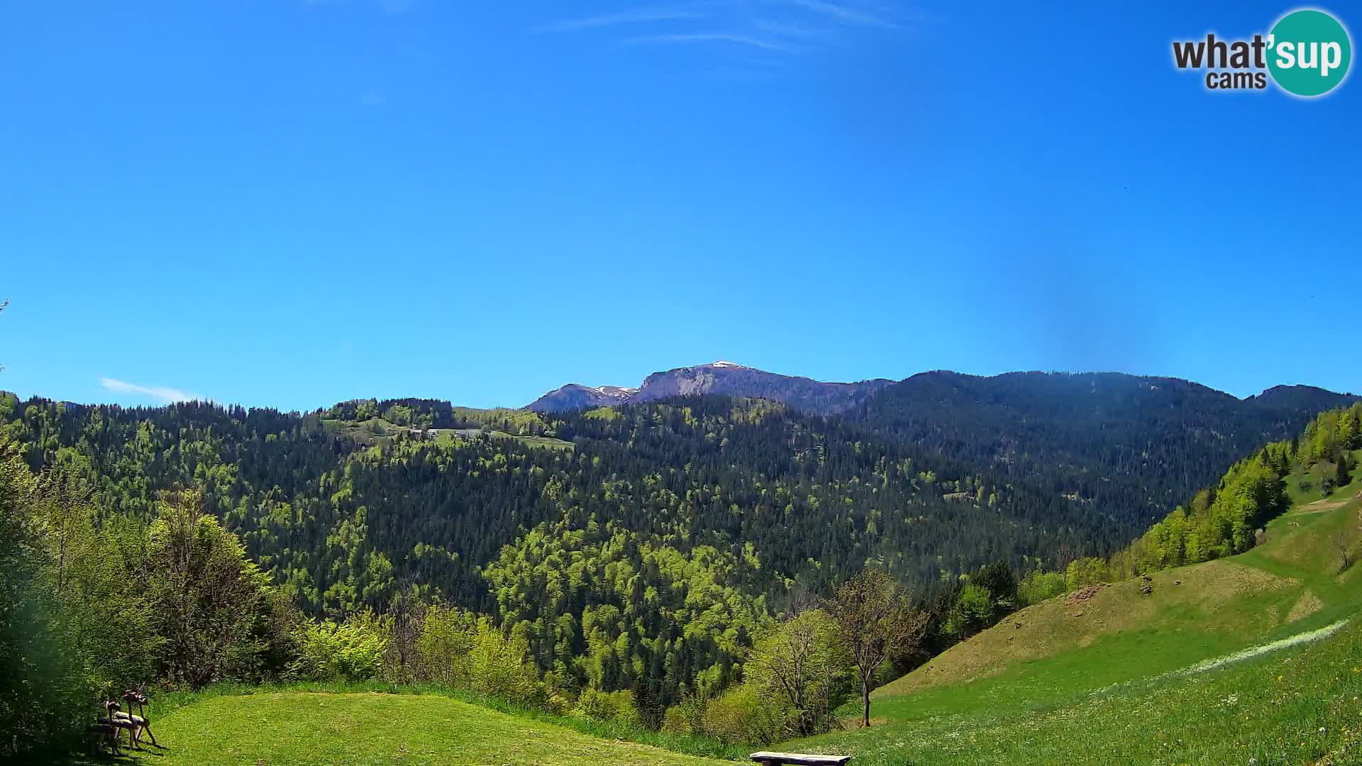 Webcam Brunarica Dražgoše – Live View of Ratitovec (1666 m)