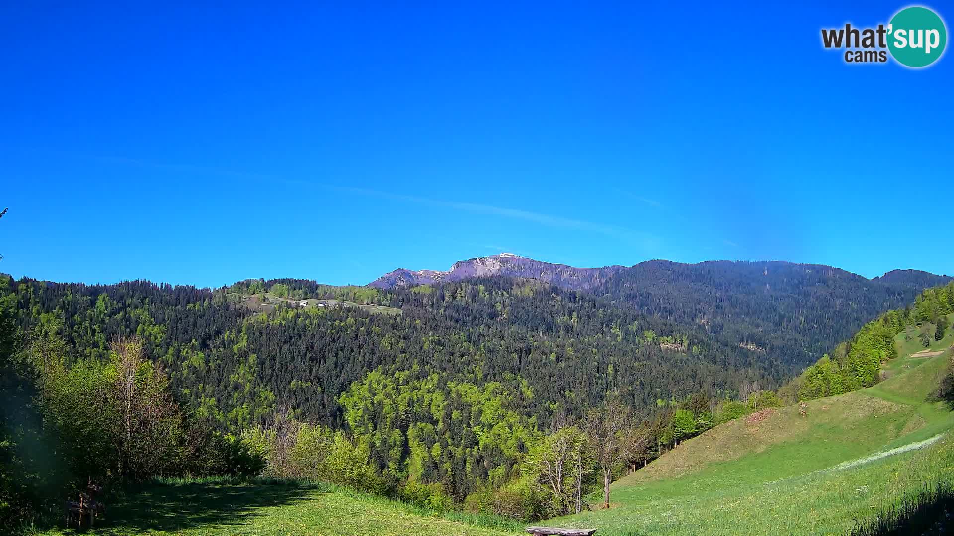 Webcam Brunarica Dražgoše – Live View of Ratitovec (1666 m)