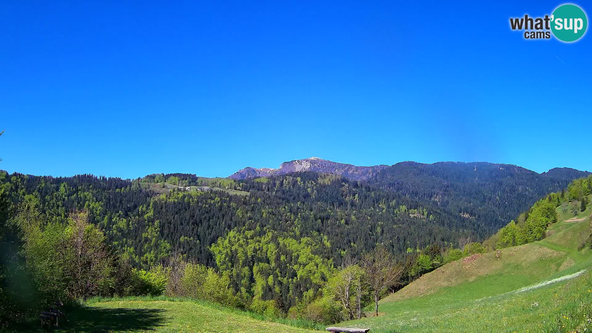 Webcam Brunarica Dražgoše – Liveblick auf Ratitovec (1666 m)