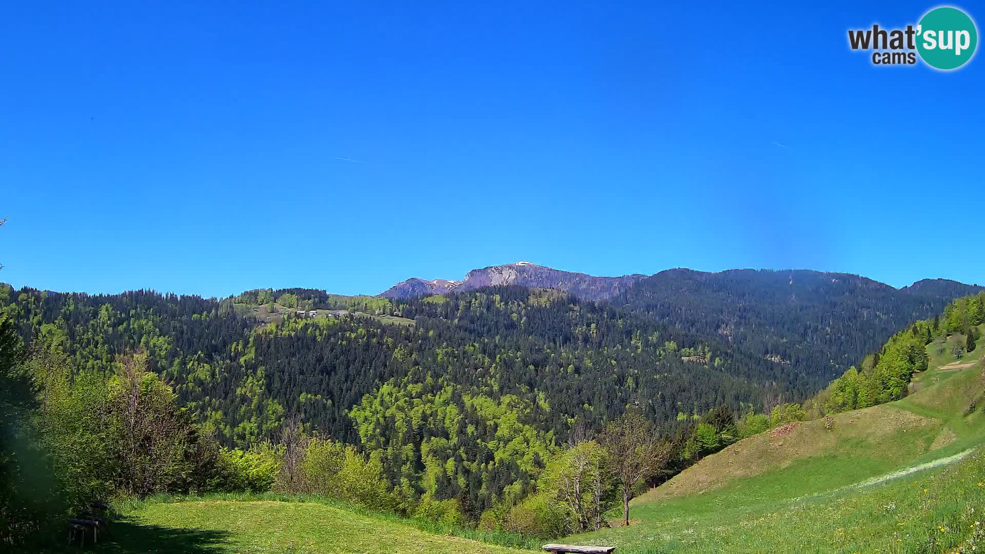 Webcam Brunarica Dražgoše – Liveblick auf Ratitovec (1666 m)