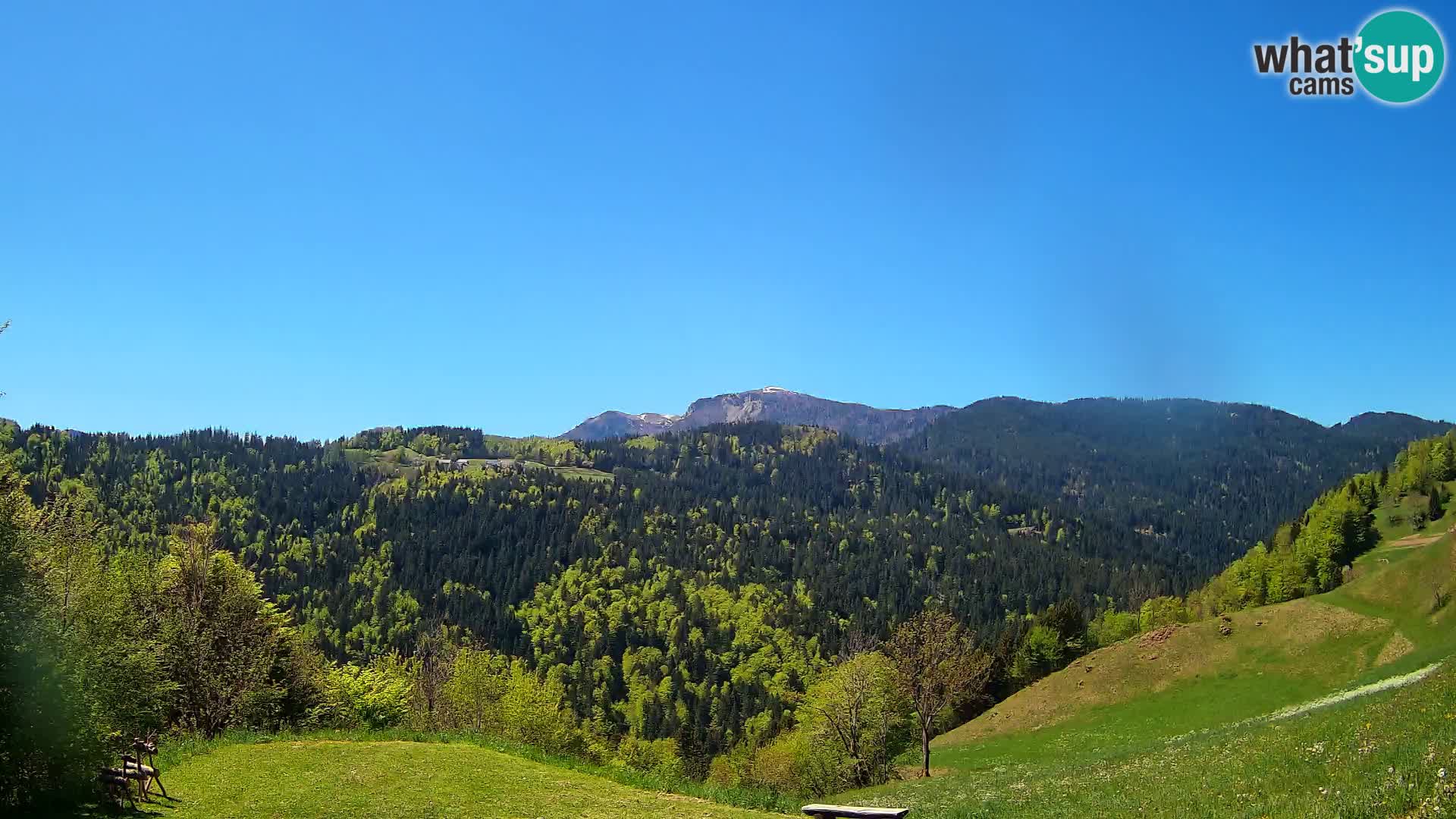 Webcam Brunarica Dražgoše – Live View of Ratitovec (1666 m)