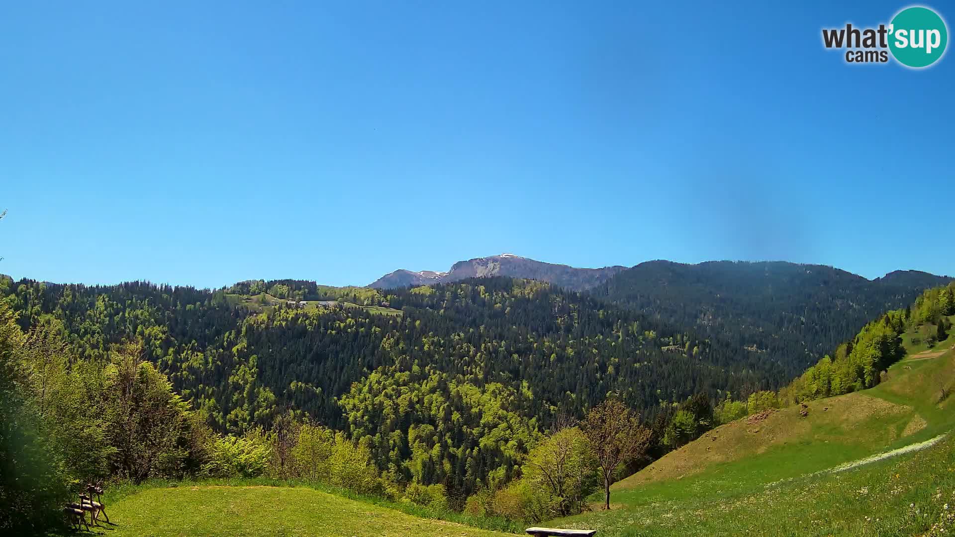 Webcam Brunarica Dražgoše – Live View of Ratitovec (1666 m)