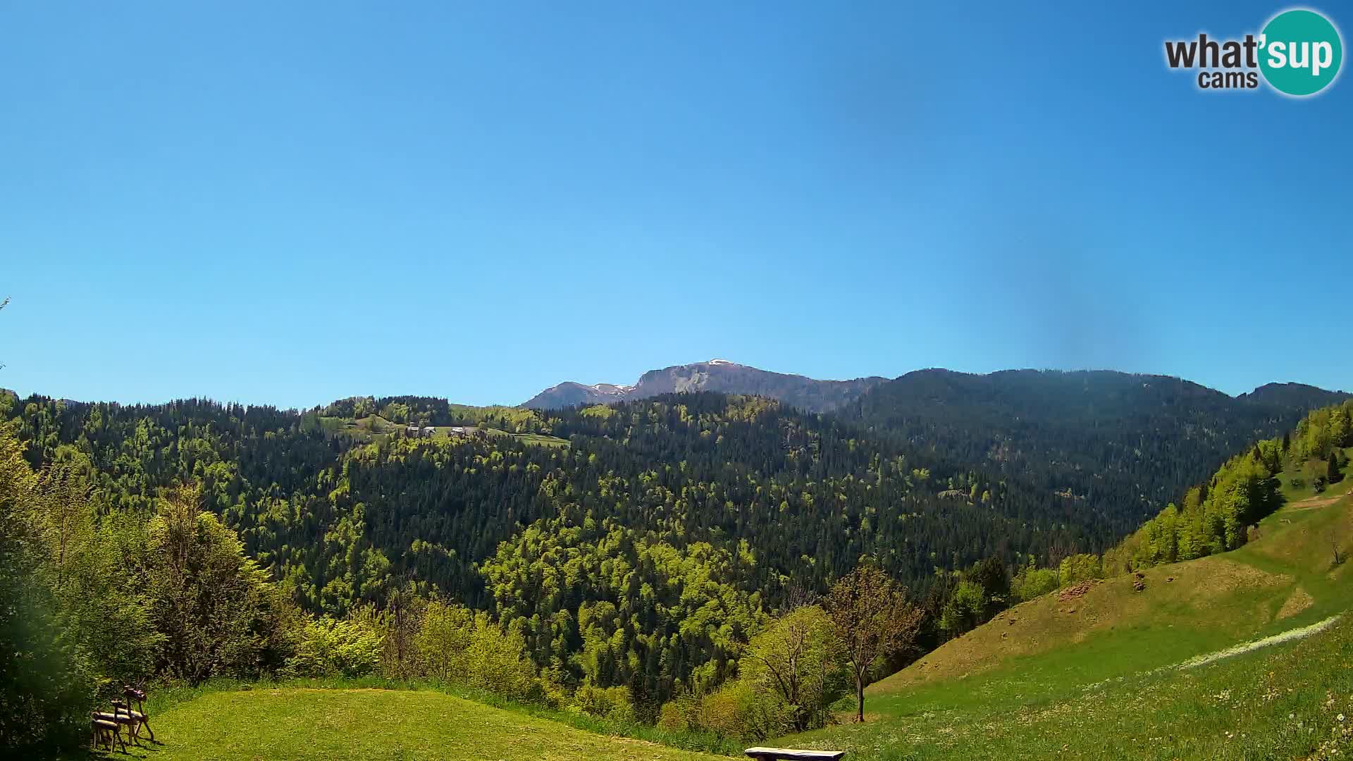 Spletna kamera Brunarica Dražgoše – Pogled v živo na Ratitovec (1666 m)