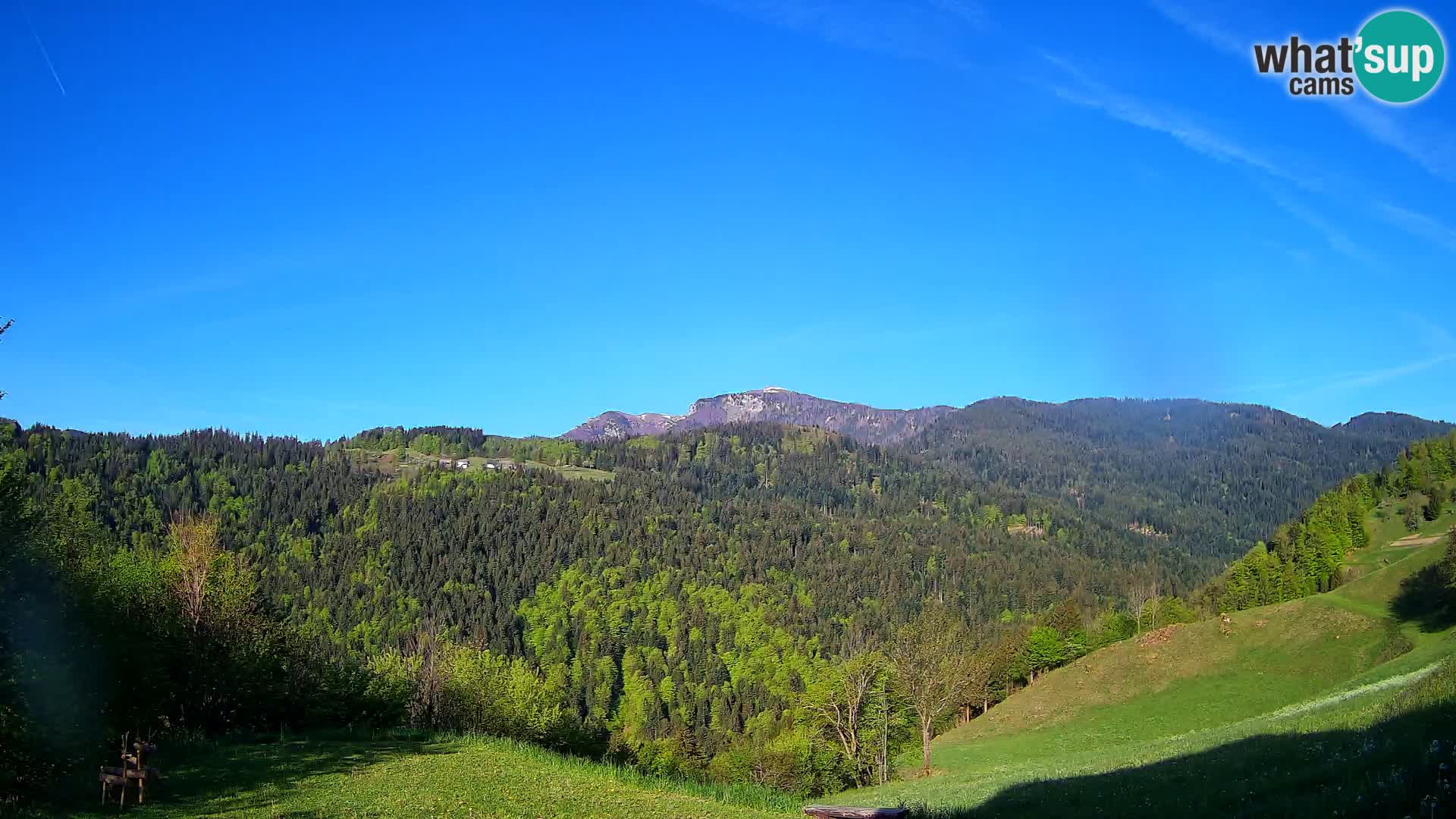 Webcam Brunarica Dražgoše – Live View of Ratitovec (1666 m)