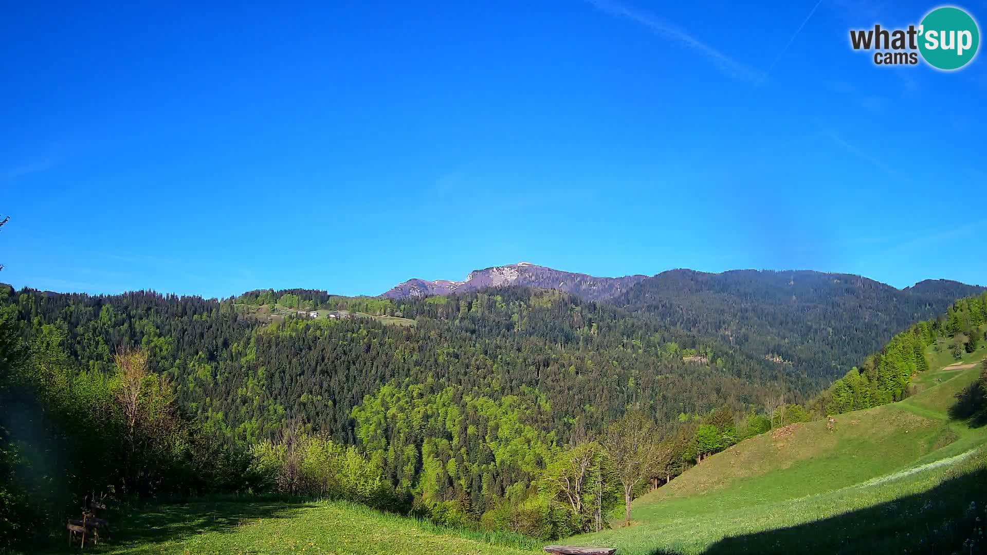 Web kamera Brunarica Dražgoše – Pogled uživo na Ratitovec (1666 m)